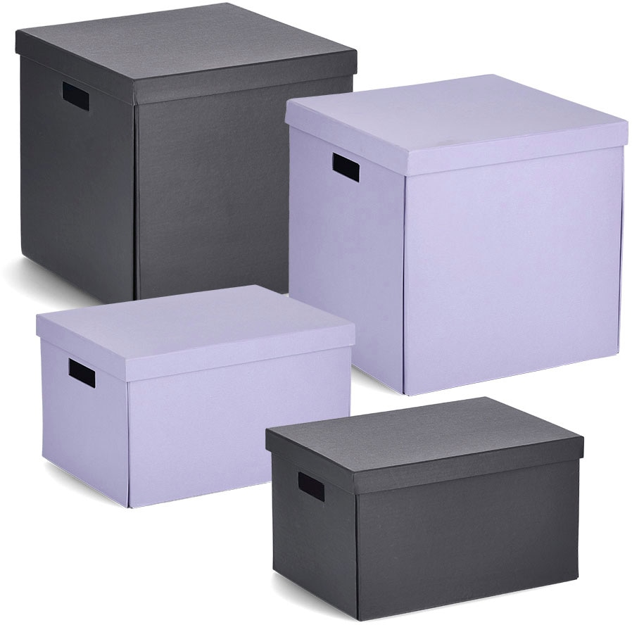 Zeller Present Aufbewahrungsbox, bei OTTO recycelter online St.), beschriftbar, (1 Karton bestellen