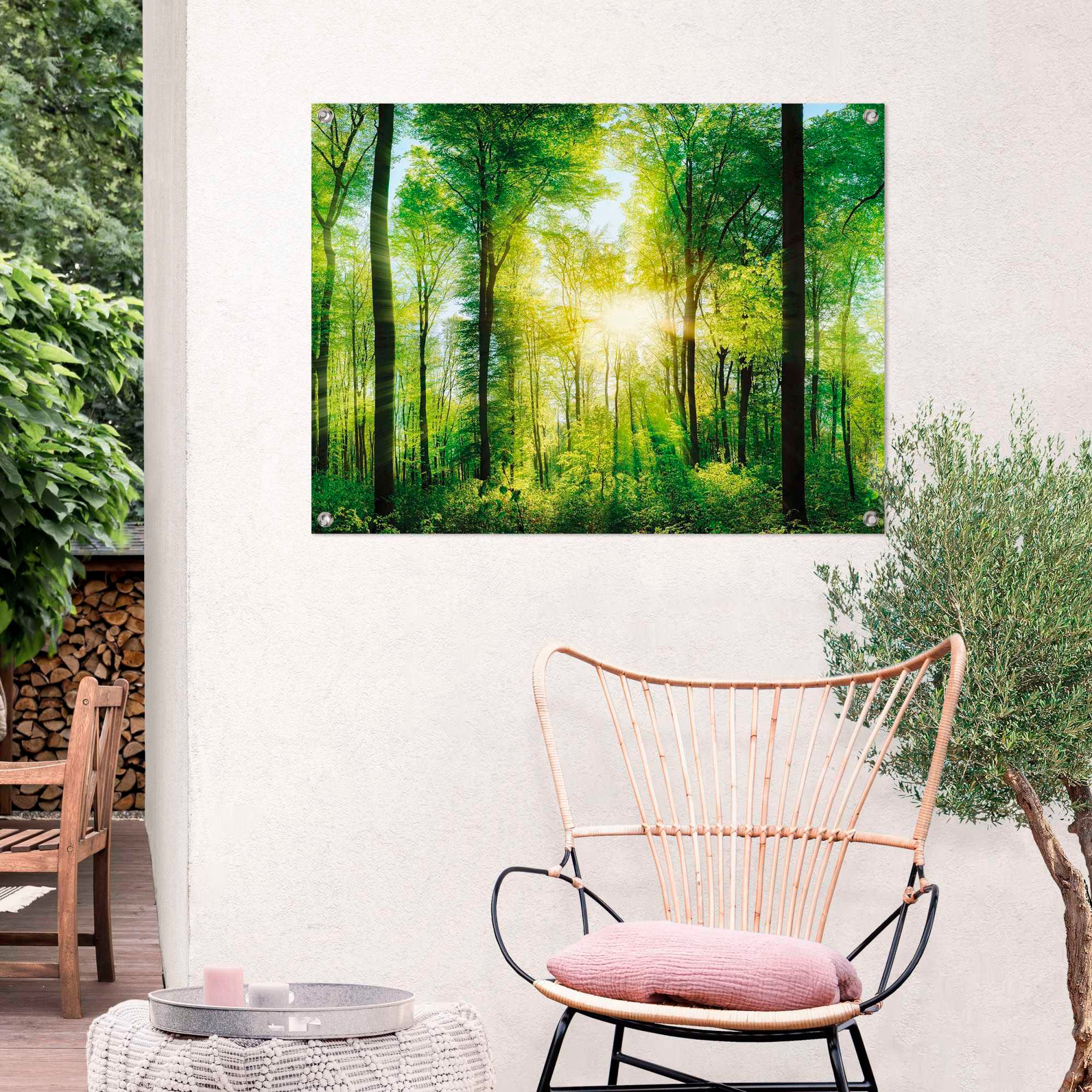 Reinders! Poster »Sommerwald«