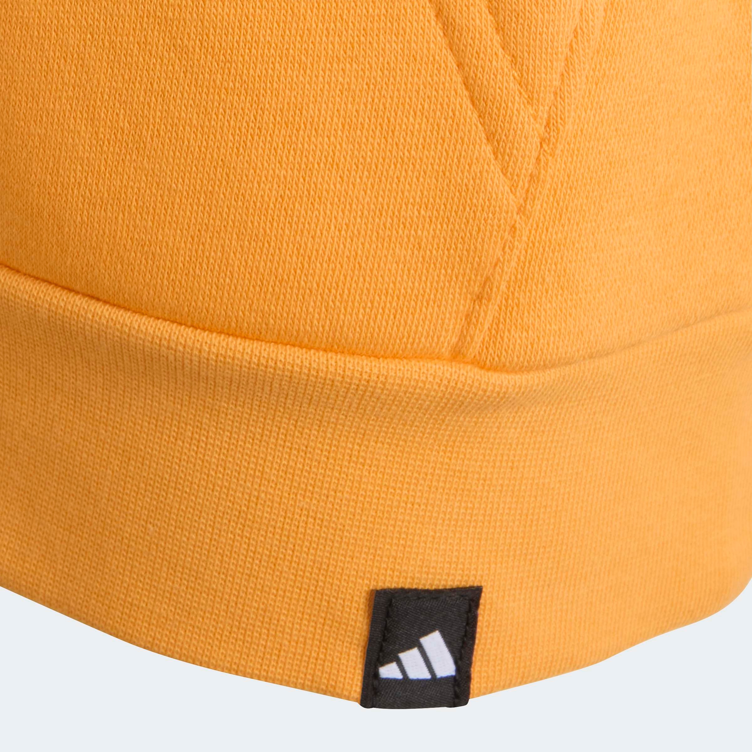 adidas TERREX Kapuzensweatshirt »K MT LOGO HD«
