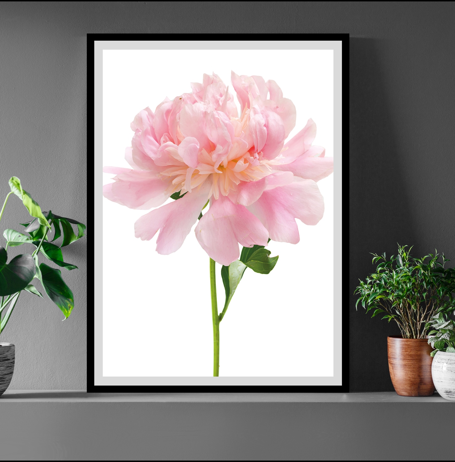 queence Bild »Beate« Blumen | Blumenbilder | Blätter | Foto | Kunst Rosen, gerahmt