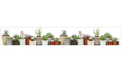 Fensterfolie »Look Succulents«, halbtransparent, glattstatisch haftend