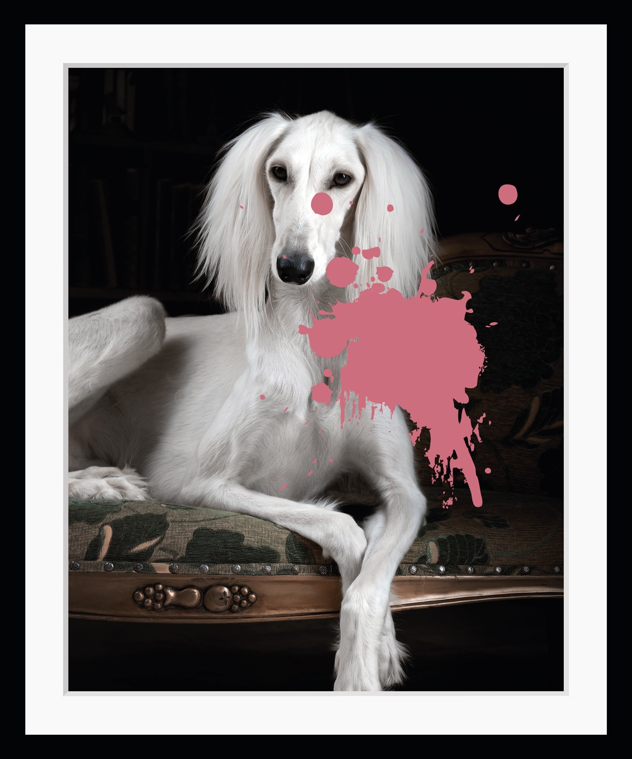 queence Bild »Pudel mit Farbklecks«, Hunde-Hund-Hundebilder-Haustiere-Humor, HD Premium Poster-Druck inkl. Holzrahmen
