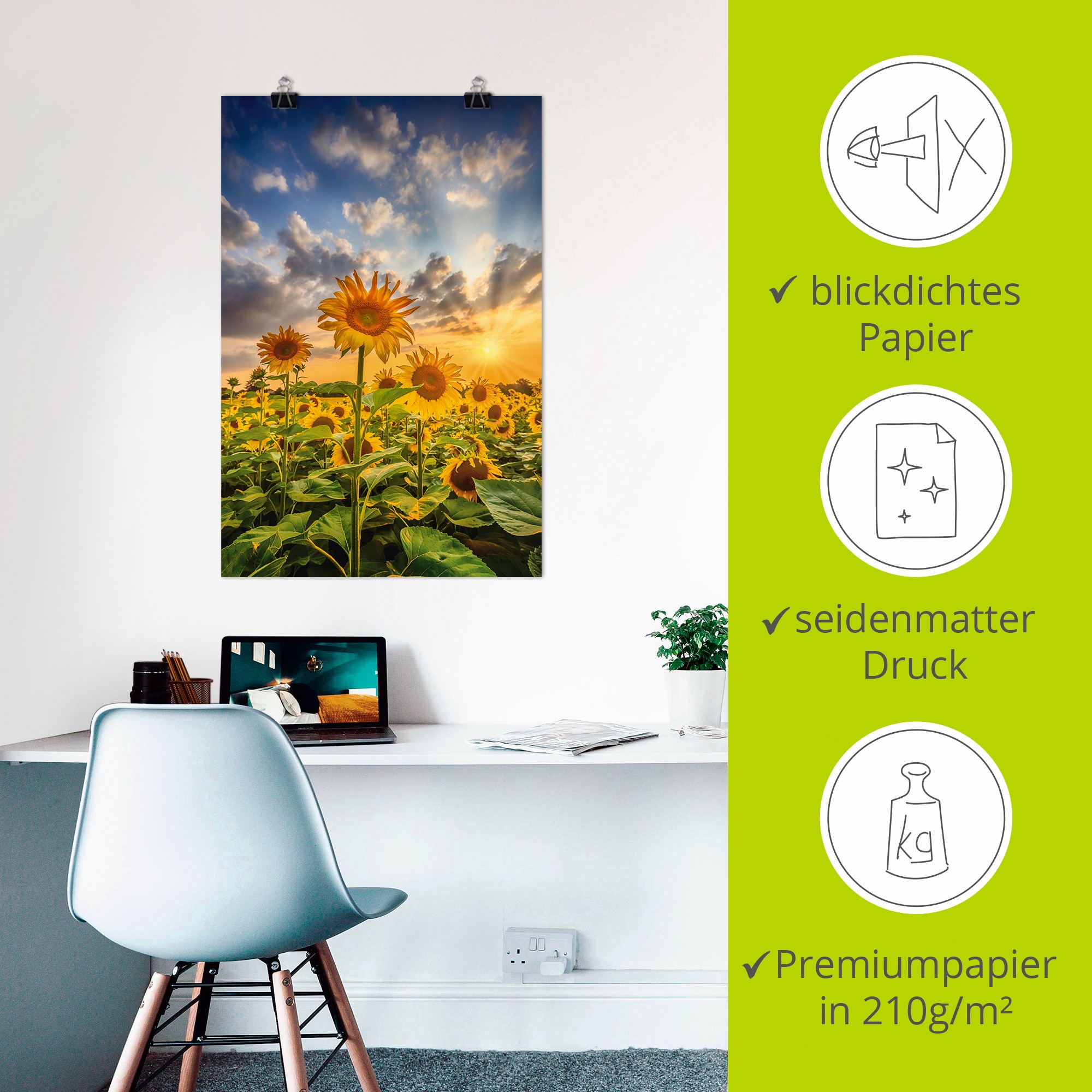 Artland Wandbild »Sonnenblumen im Sonnenuntergang« Blumenbilder 1 Stk. tlg. als Leinwandbild, Poster in verschied. Größen