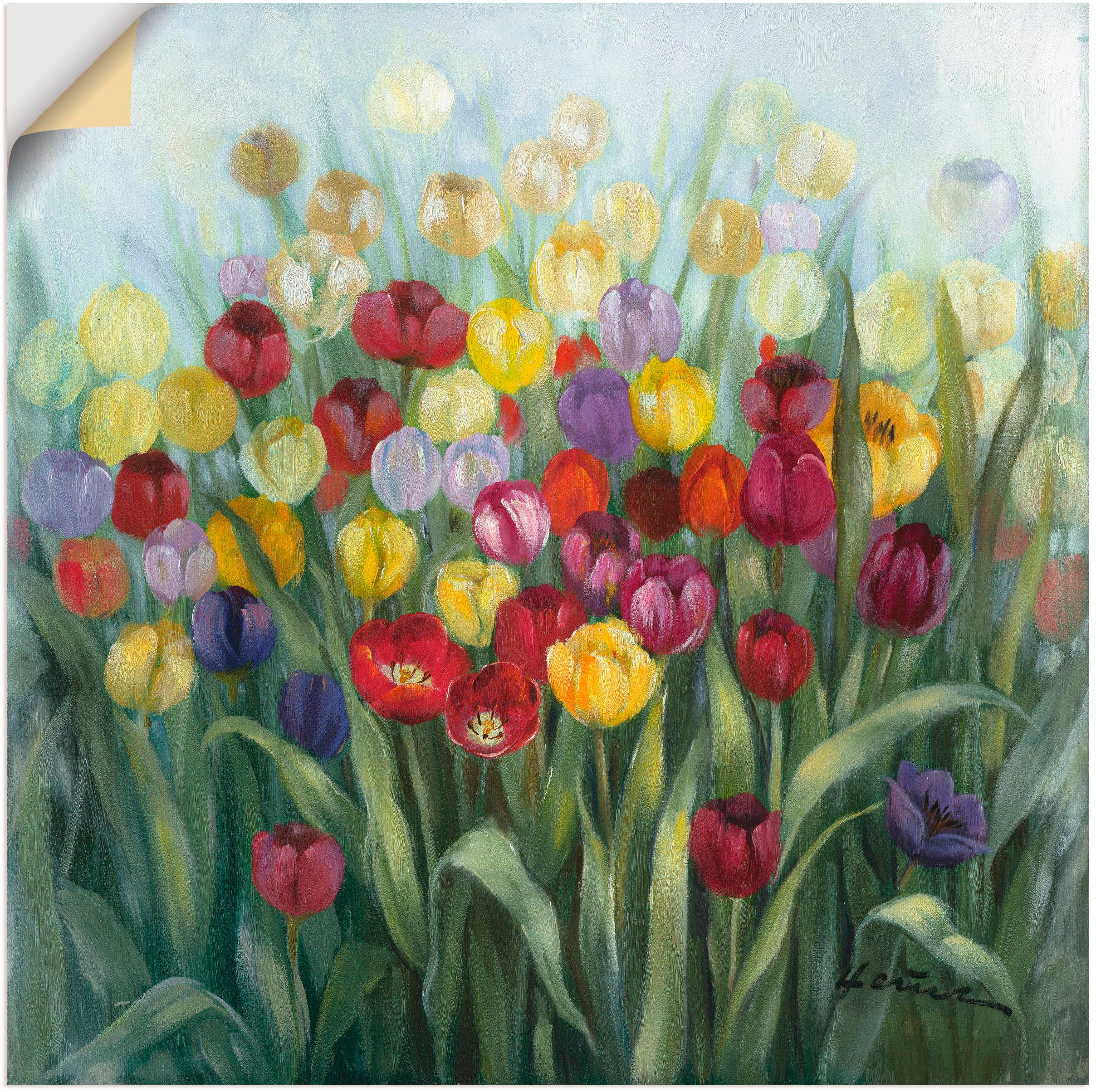 Artland Wandbild »Tulpenwiese II«, Blumenwiese, (1 St.), in vielen Größen & Produktarten - Alubild / Outdoorbild für den Außenbereich, Leinwandbild, Poster, Wandaufkleber / Wandtattoo auch für Badezimmer geeignet