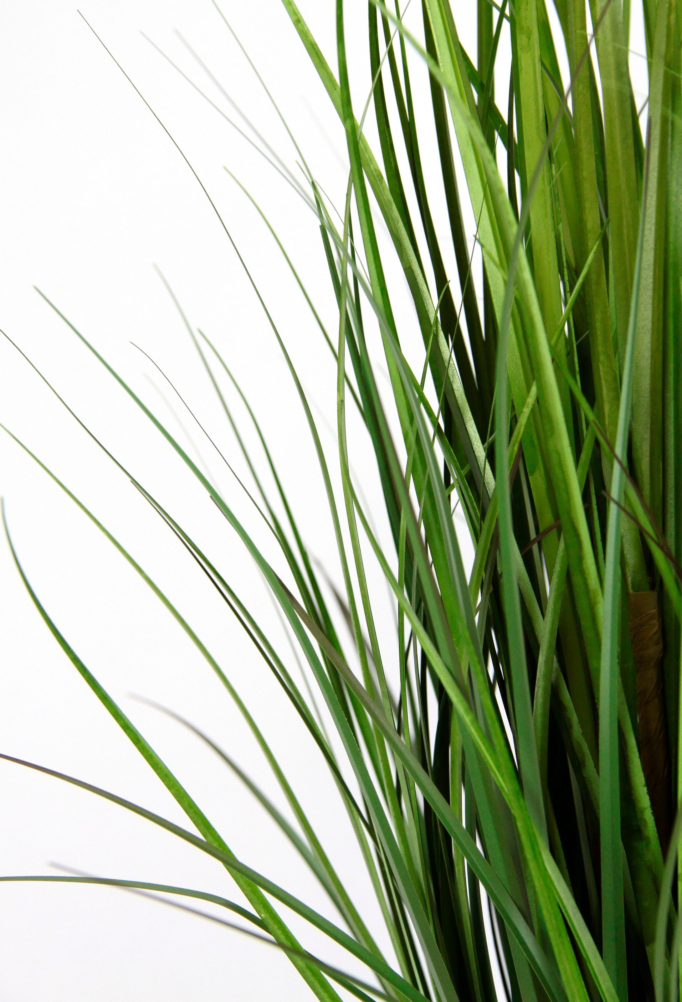 I.GE.A. Kunstpflanze »Grasbusch« Dekogras