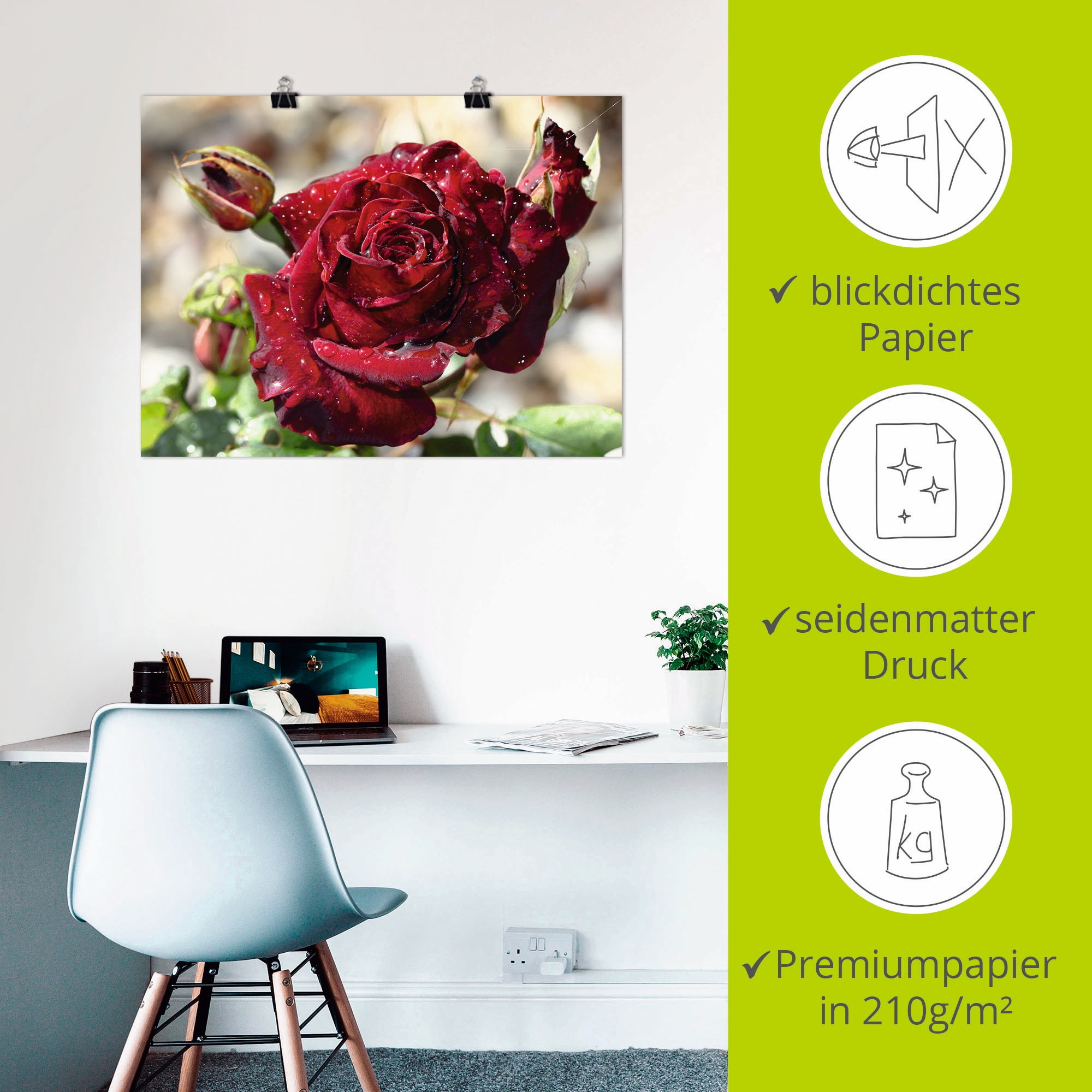 Artland Wandbild »Tröpfchenrose« Blumen 1 Stk. tlg. als Leinwandbild, Poster in verschied. Größen