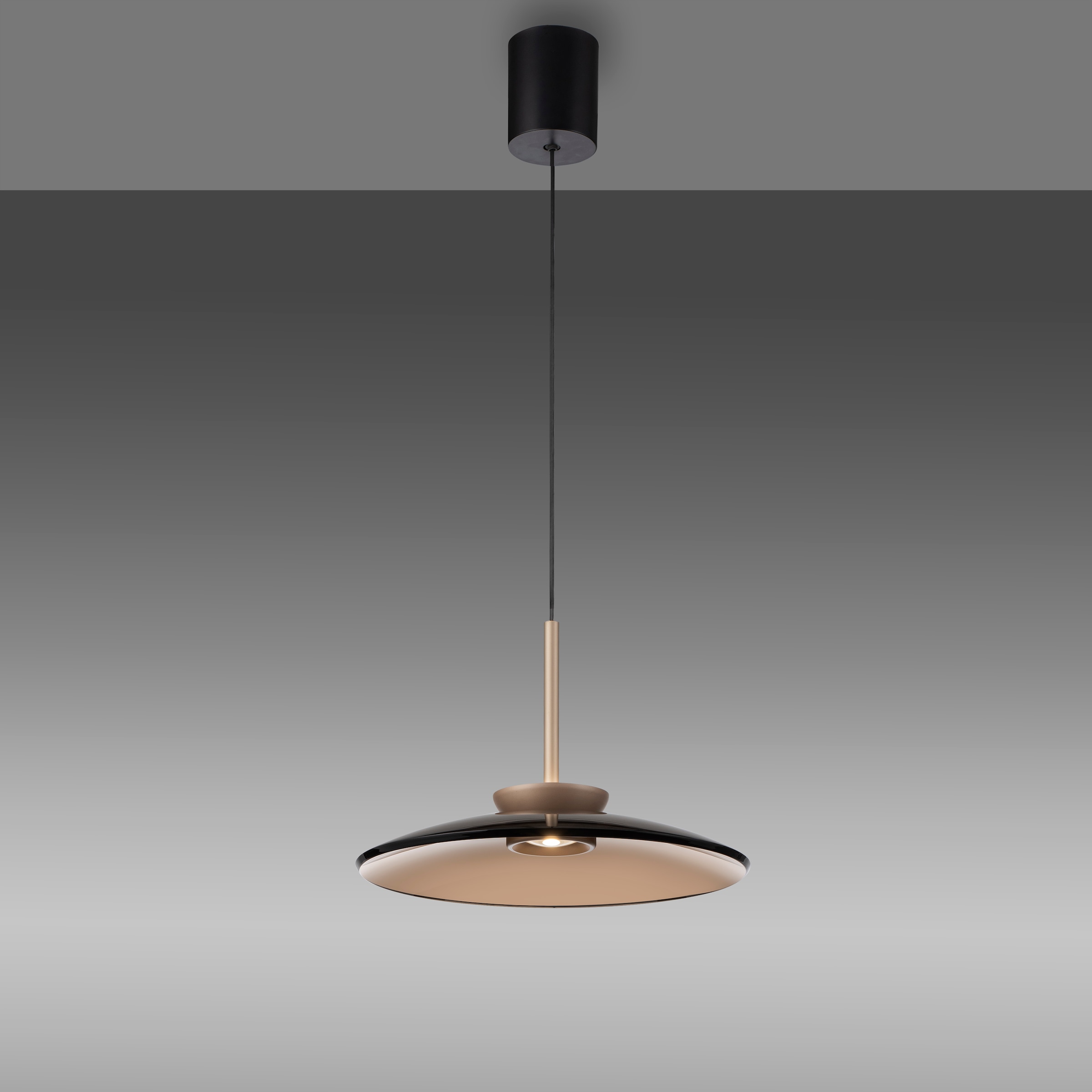 Neuhaus PURE LED Pendelleuchte »PURE E-Moon« LED-Board 1 Stk. warmweiß - kaltweiß e-LIFT® Funktion, CCT, dimmbar über Fernbedienung