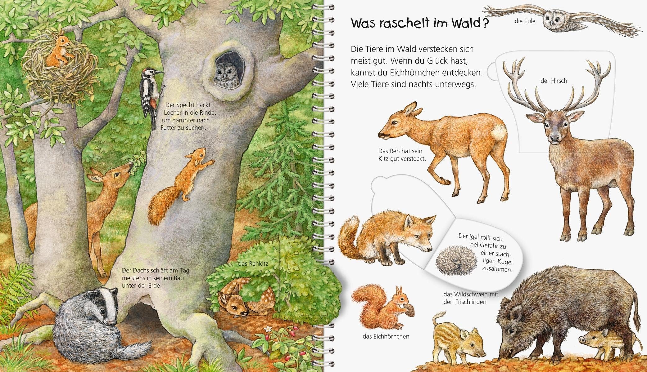 Ravensburger Buch »Mein junior-Lexikon: Tiere - Wieso? Weshalb? Warum?«, Made in Europe; FSC® - schützt Wald - weltweit