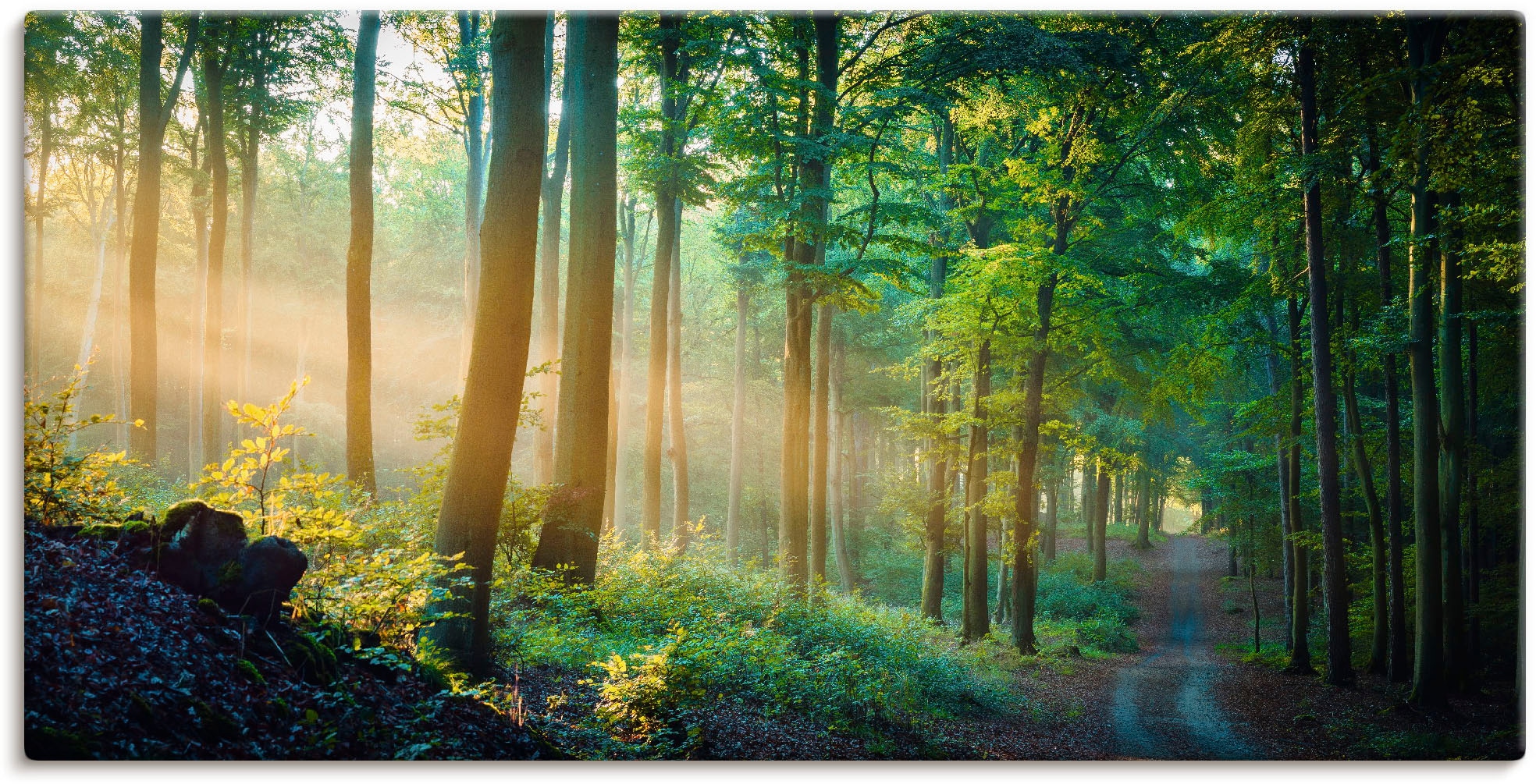 Artland Wandbild »Herbstmorgen im Wald«, (1 Leinwandbild, Alubild, online Wandaufkleber OTTO St.), bei als Größen Waldbilder, versch. oder in Poster