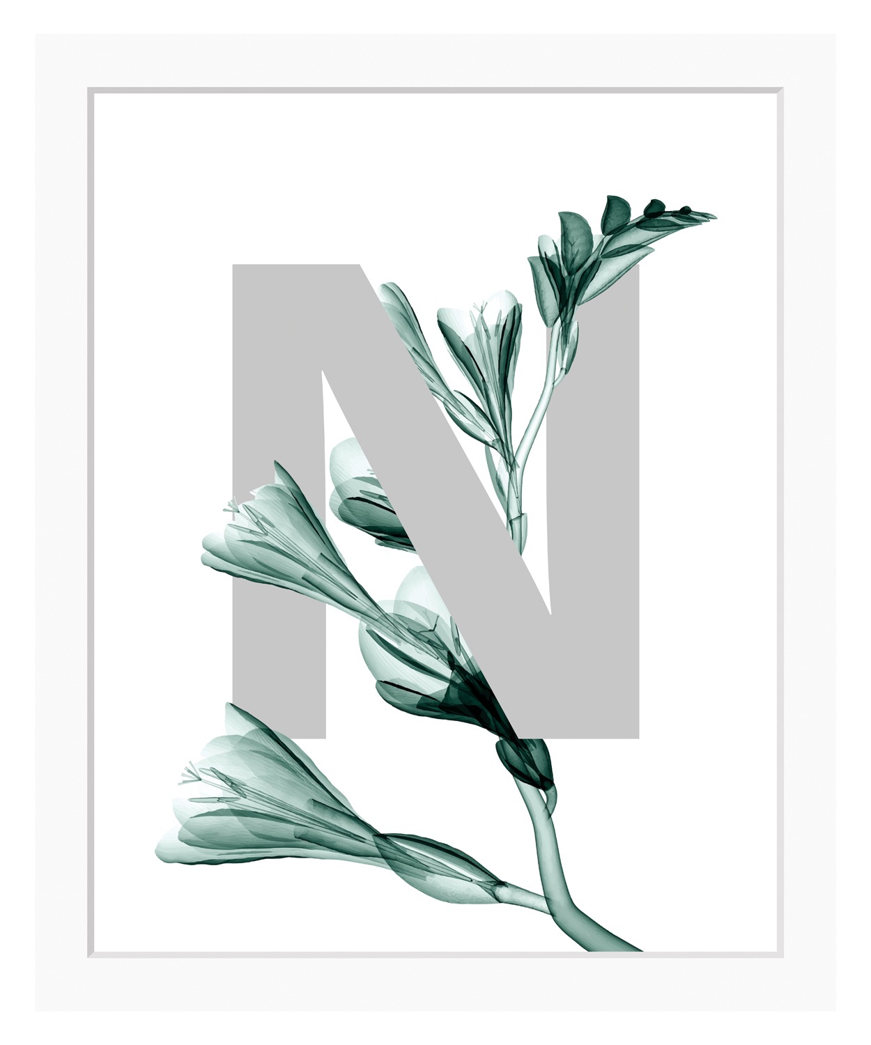 queence Bild »N-Flower« Buchstaben | Pflanzen | Pflanzenbilder