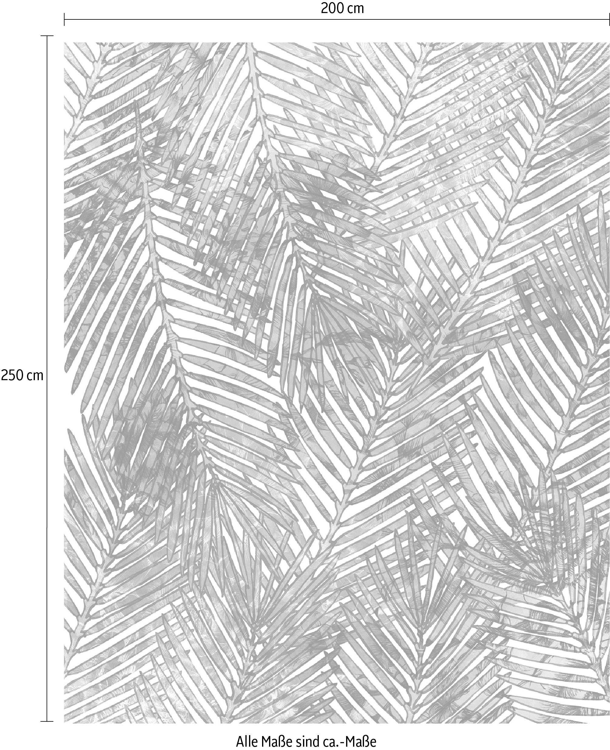 Komar Vliestapete »Digitaldruck Vlies - Palm Canopy - Größe 200 x 250 cm«, bedruckt, Wohnzimmer, Schlafzimmer