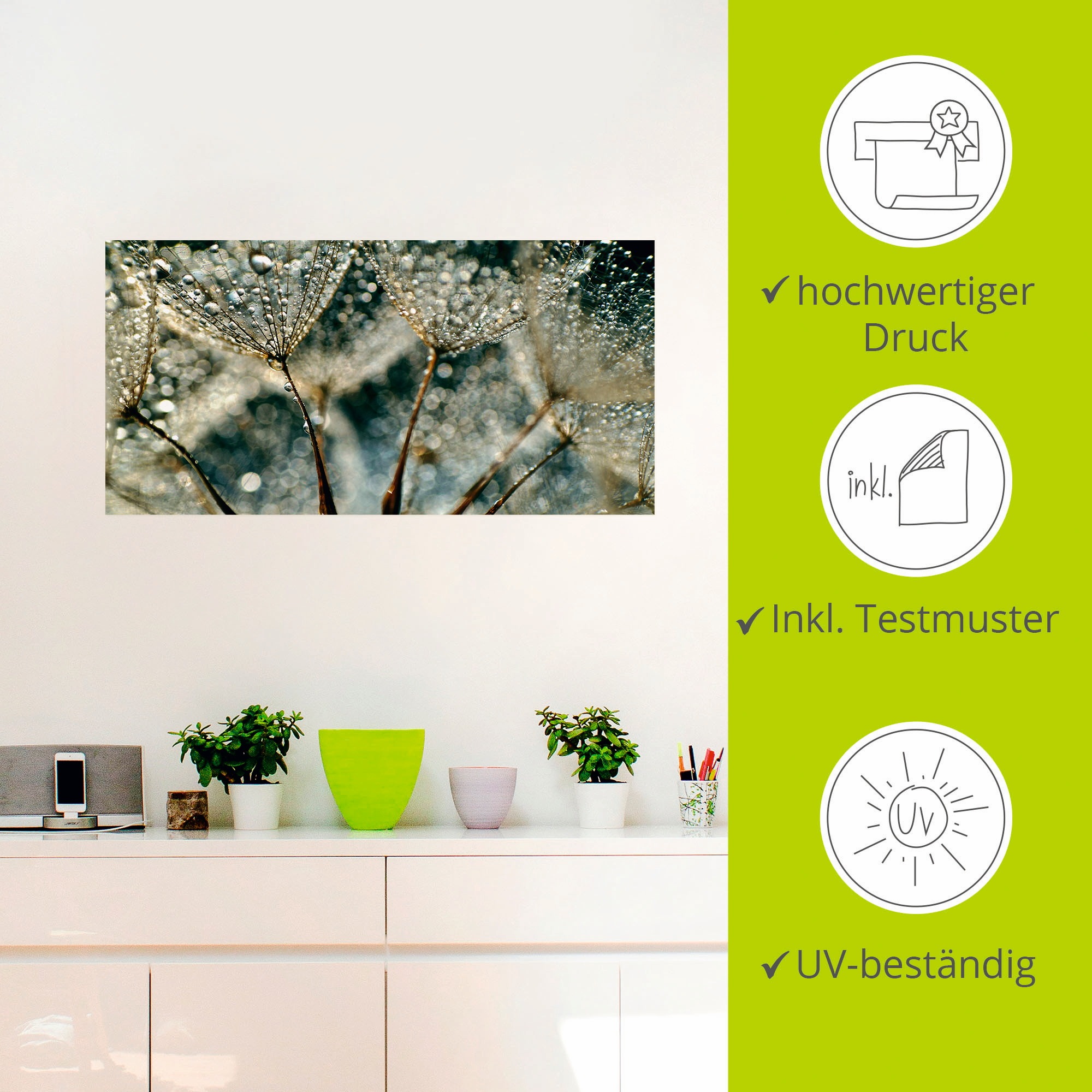 Artland Wandbild »Pusteblume Regenschauer«, Blumen, (1 St.), als Alubild, Outdoorbild, Leinwandbild, Poster, Wandaufkleber