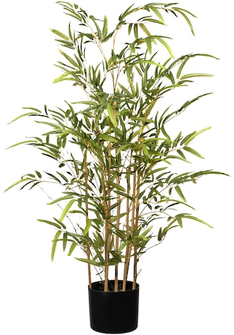Creativ green Kunstbaum »Bambus«, (1 St.) kaufen