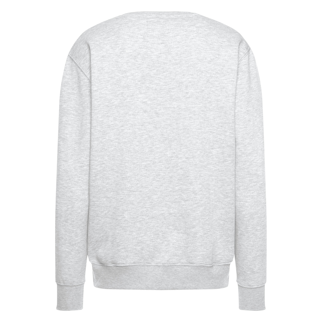 Alpha Industries Sweatshirt »Basic Sweater small Logo«