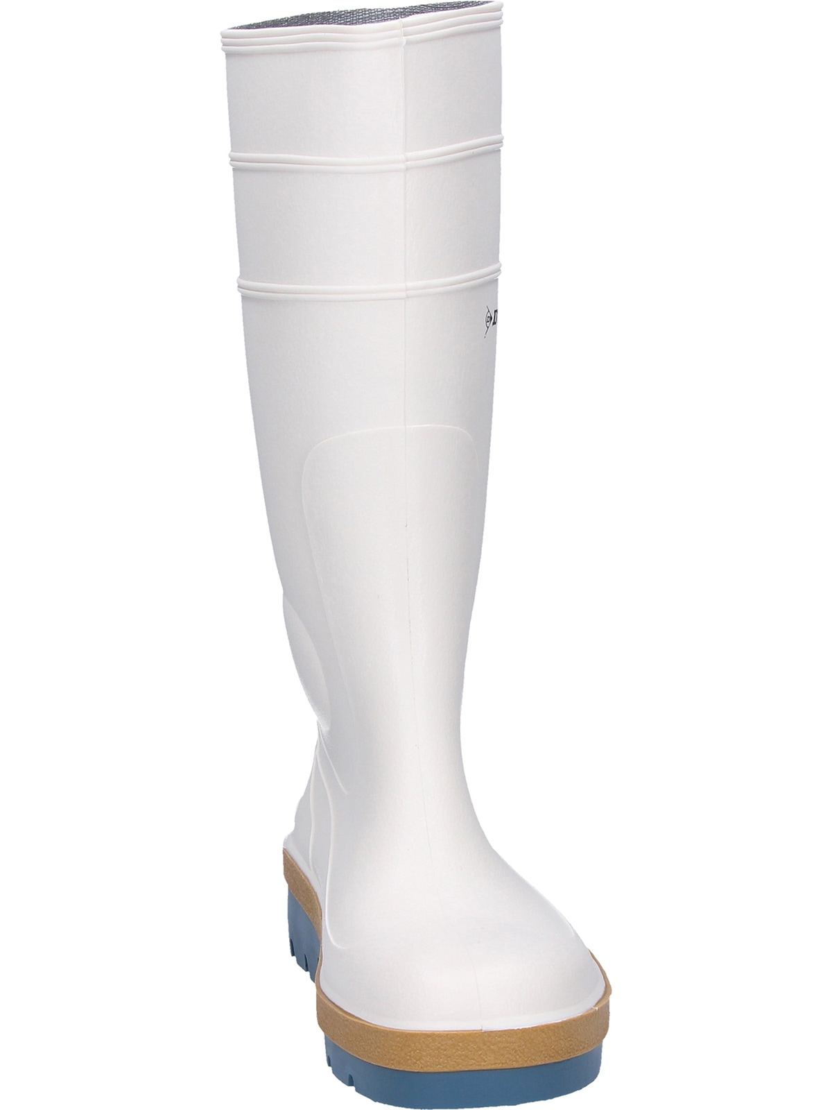 Dunlop Gummistiefel »Stiefel B780331 Acifort Tricolour«