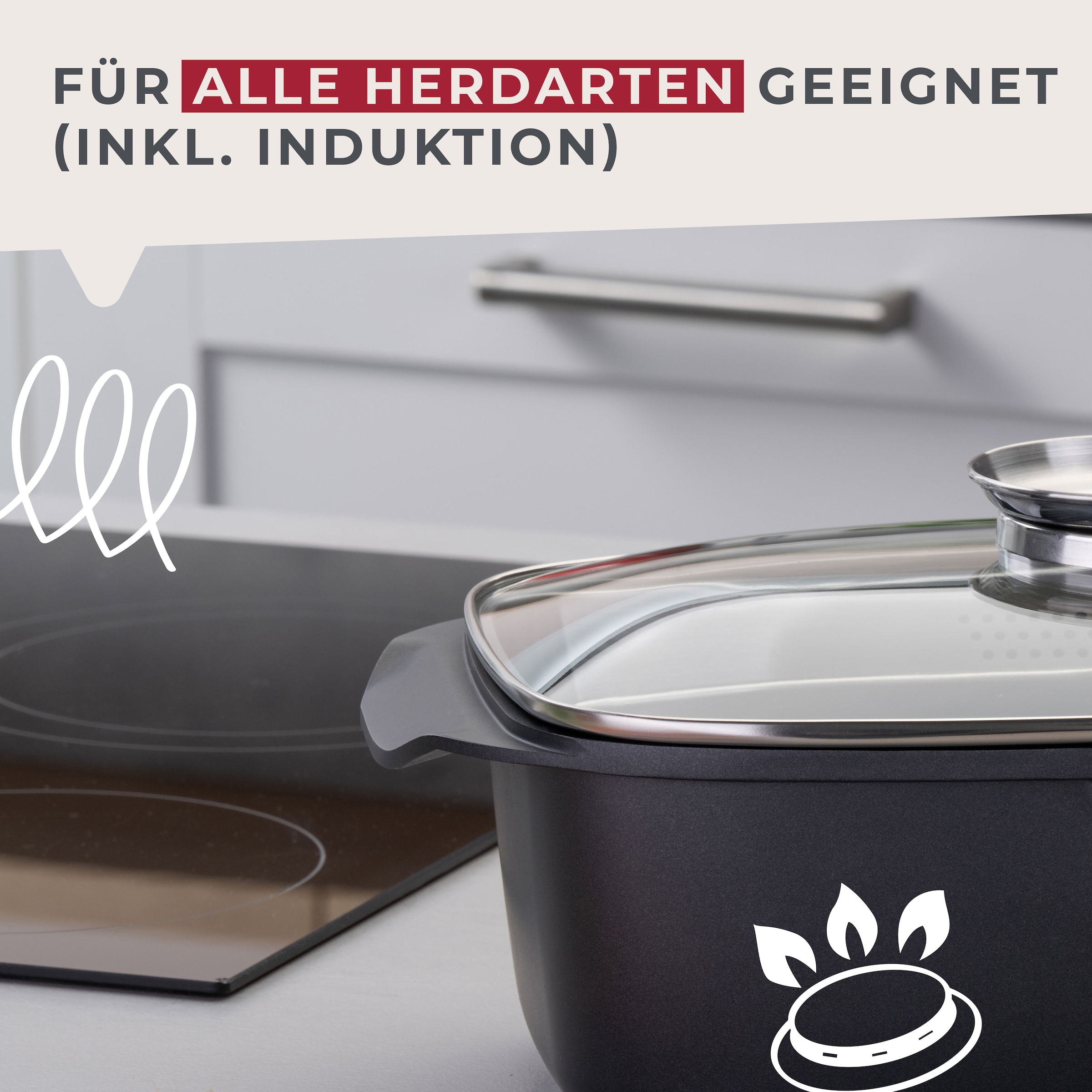 FACKELMANN Bräter »Roaster«, Aluminiumguss, (1 tlg.), mit Aromaknauf, Schmortopf mit Deckel
