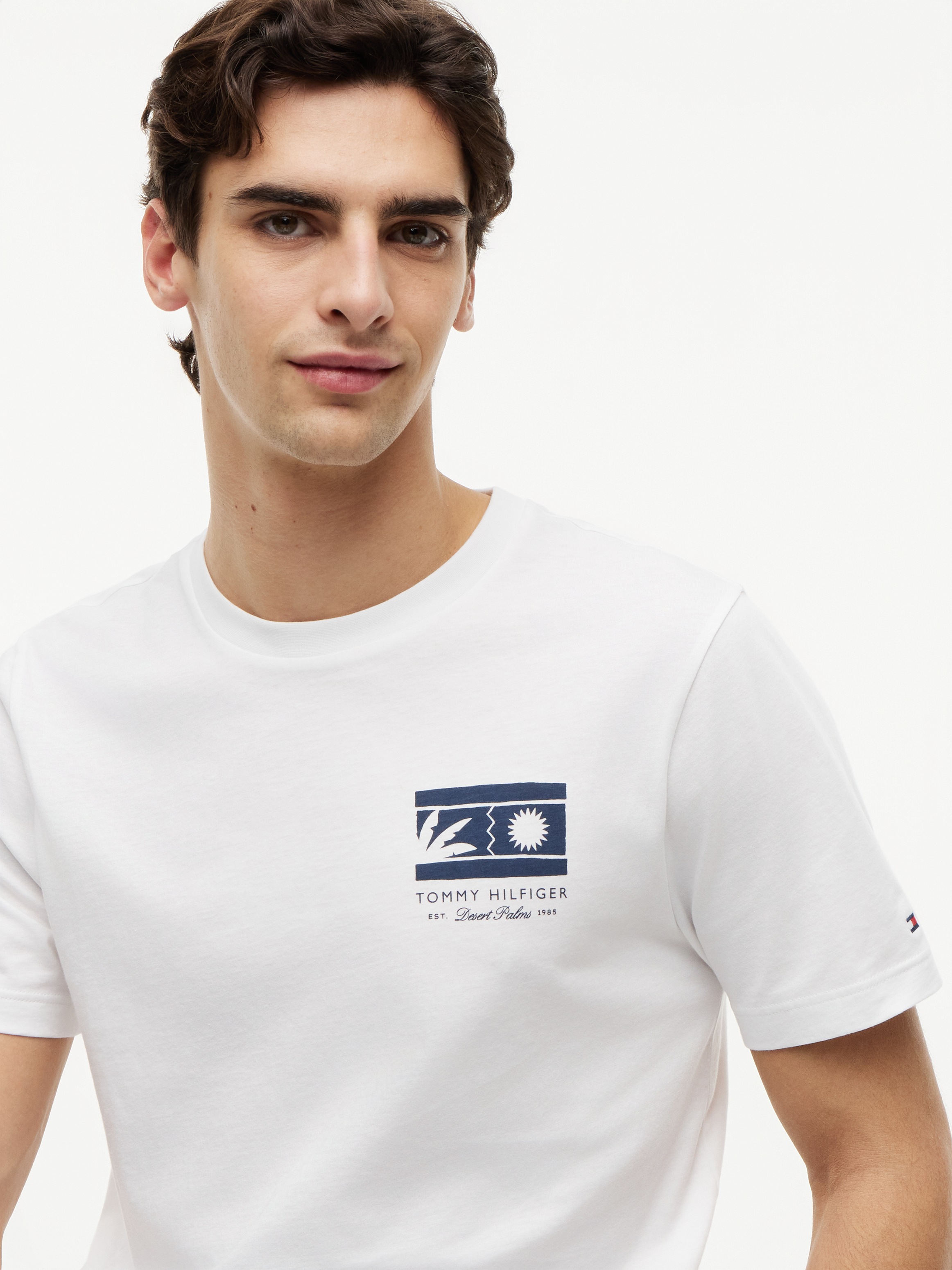 Tommy Hilfiger T-Shirt »MONO SUN GRAPHIC REGULAR TEE« aus Jersey mit Logo-Grafik