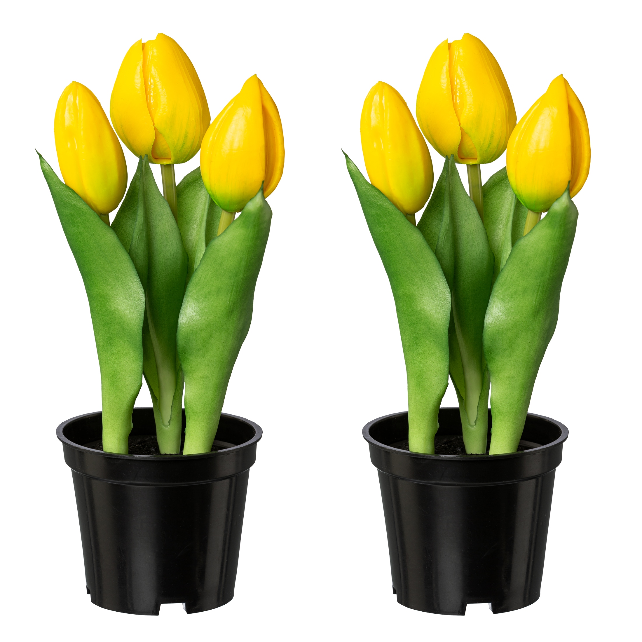 Creativ green Kunstblume »Tulpe«, mit real-touch-Blüten