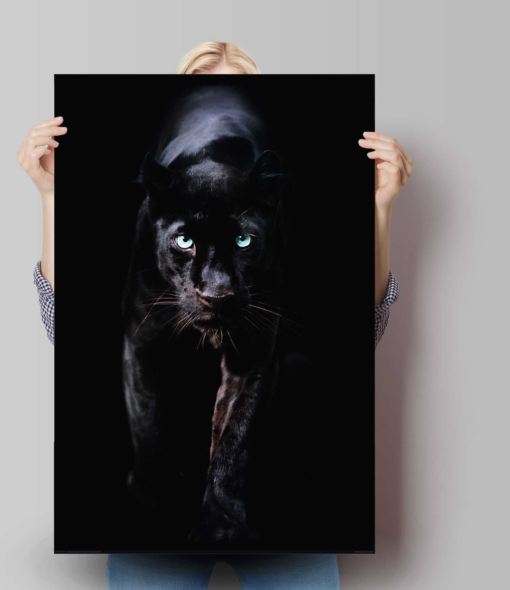 Reinders! Poster OTTO Shop Schwarzer Online Panther«, »Poster St.) im Tiere, (1