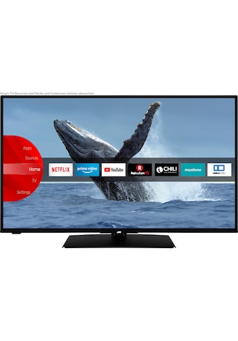 JVC LED-Fernseher »LT-43VF5155«, 108 cm/43 Zoll, Full HD kaufen