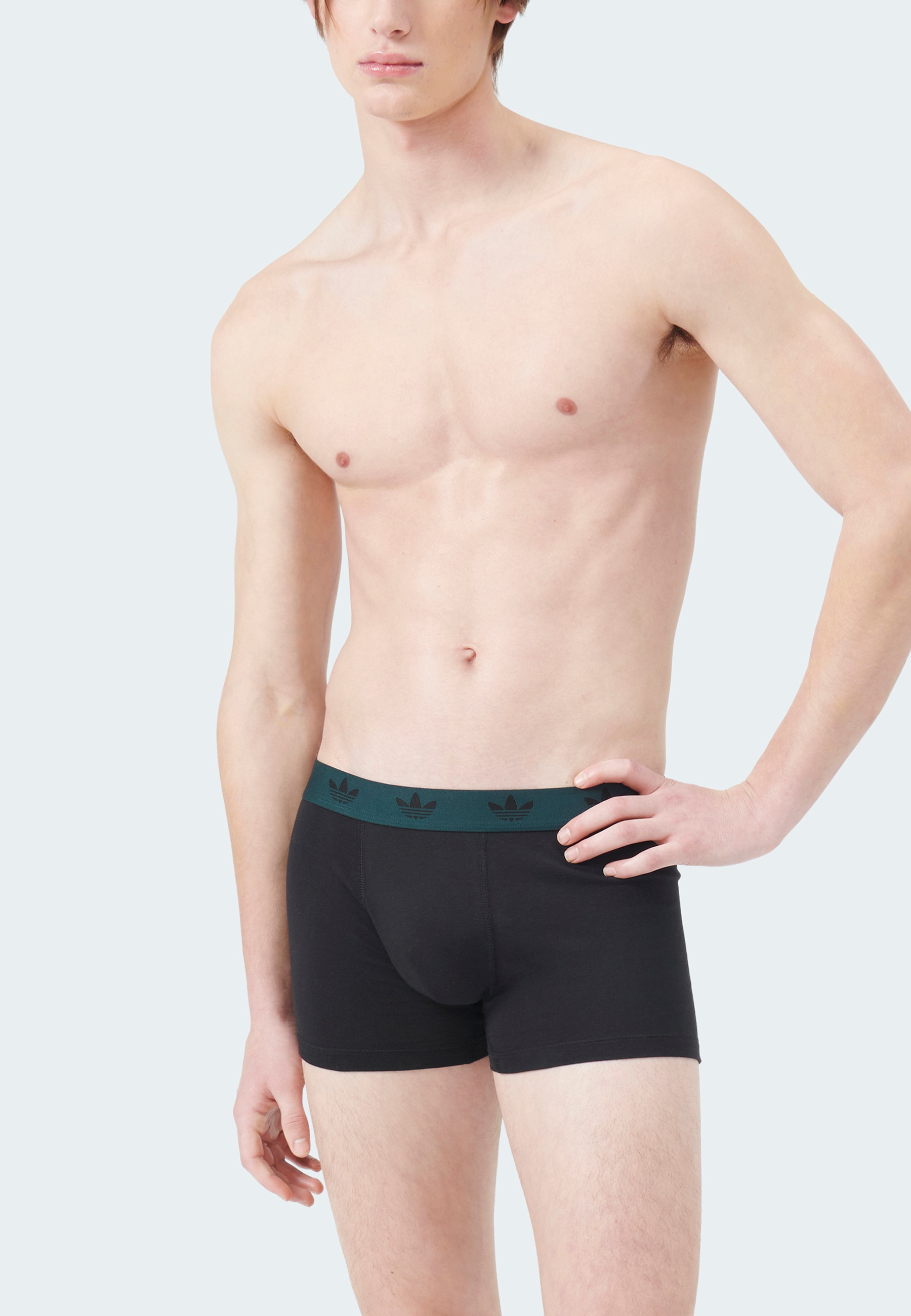 adidas Originals Trunk »Comfort Flex Cotton« 2er Pack,  weich, elastisch, Baumwollmix, Logo-Bund, ohne Eingriff