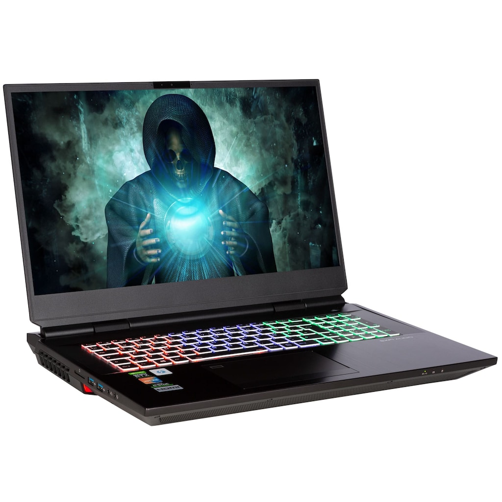 CAPTIVA Gaming-Notebook »Advanced Gaming I61-977«, 43,9 cm, / 17,3 Zoll, Intel, Core i7, GeForce RTX 3070, 2000 GB SSD