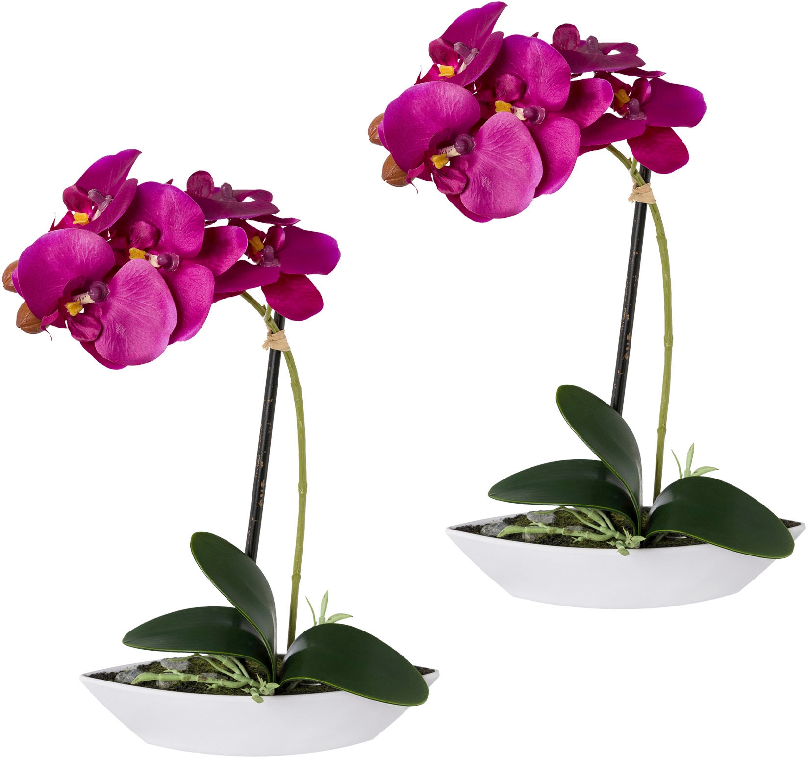 Creativ green Kunstorchidee »Phalaenopsis«, St.), (1 im Keramikschiff bestellen OTTO bei online