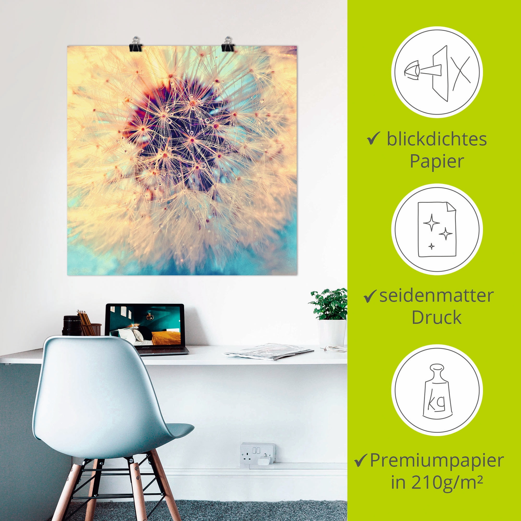 Artland Wandbild »Pusteblume ganz nah« Blumen 1 Stk. tlg. als Alubild, Leinwandbild, Poster in verschied. Größen