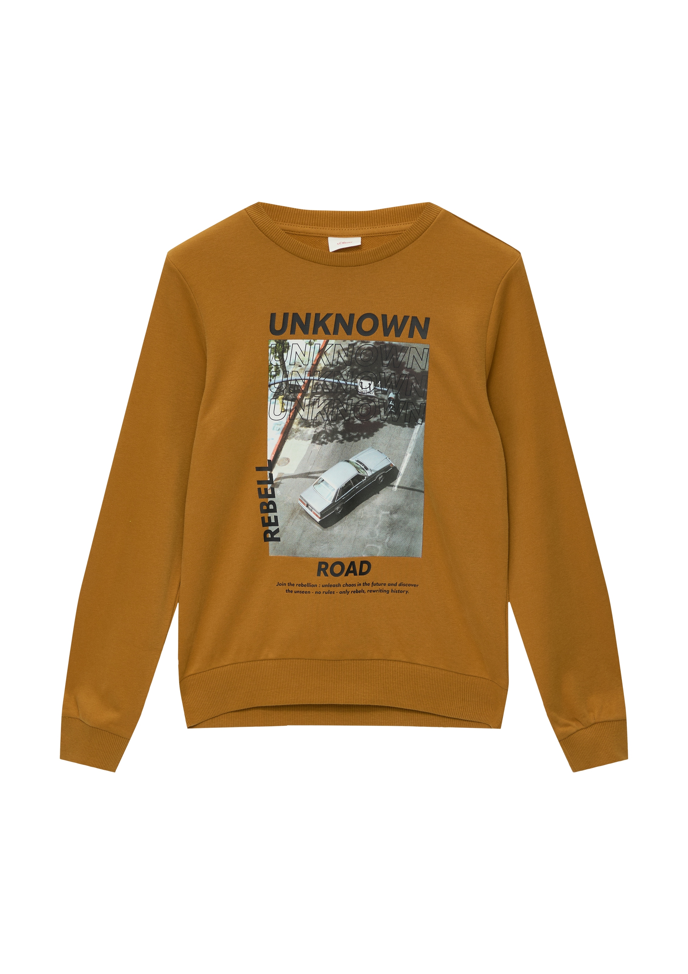 Sweatshirt, mit Frontprint