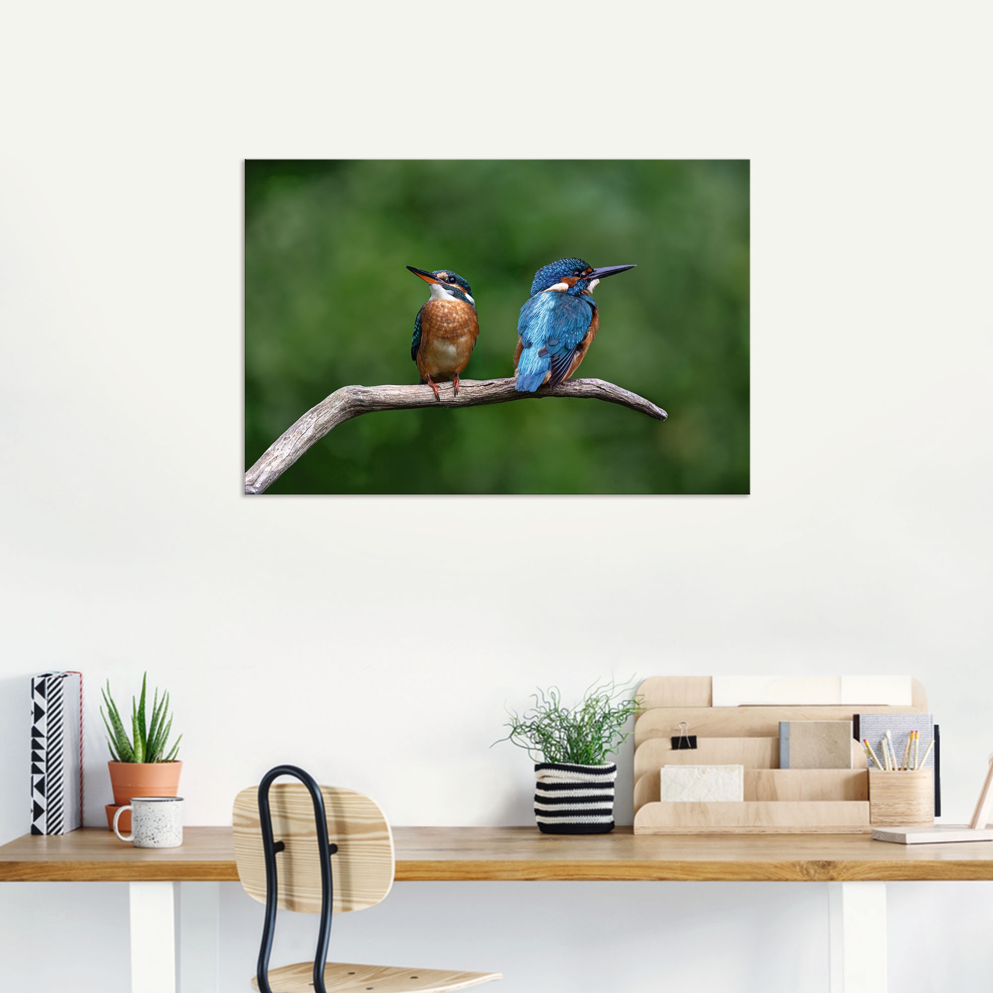 Artland Wandbild »Zwei Eisvogel«, Vogelbilder, (1 St.), als Alubild, Outdoorbild, Poster in verschied. Größen