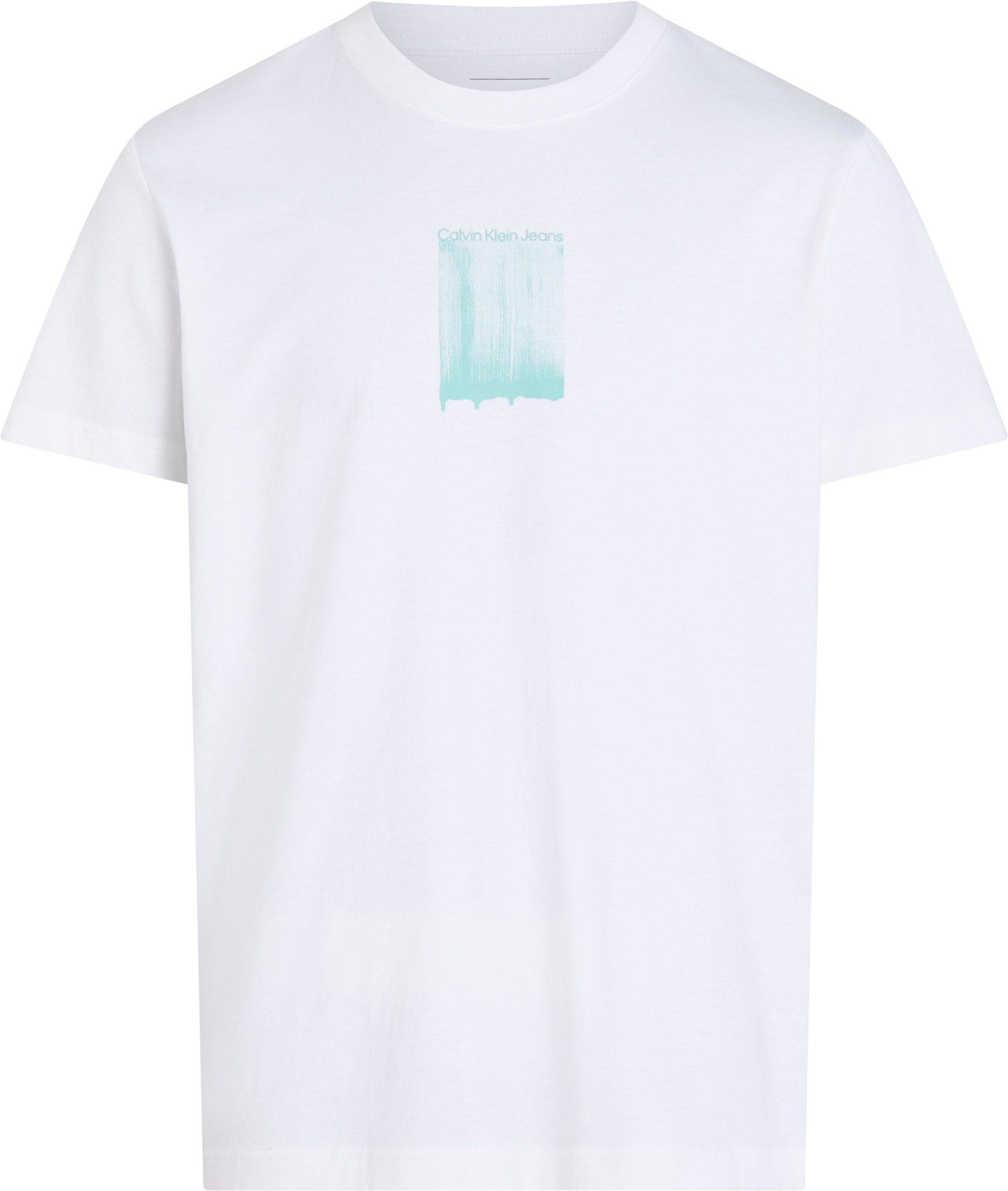 Calvin Klein Jeans T-Shirt »BRUSH STROKE GRAPHIC TEE«, mit Logodruck