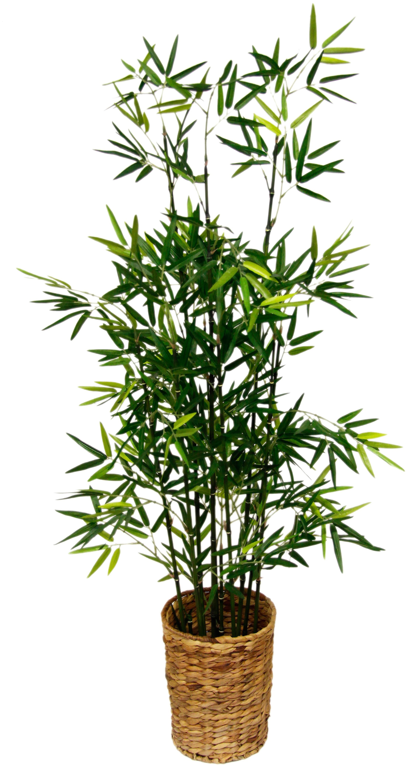 I.GE.A. Kunstpflanze »Bambus«, (1 im Online Shop OTTO St.)