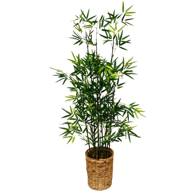 I.GE.A. Kunstpflanze »Bambus«, (1 St.) im OTTO Online Shop