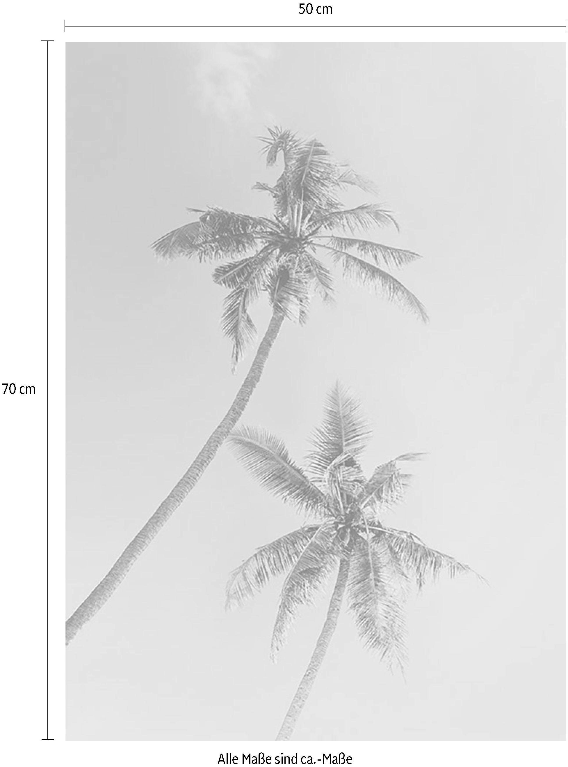 Schlafzimmer, Poster Komar OTTO »Miami (1 Palms«, Pflanzen-Blätter, Wohnzimmer Kinderzimmer, St.), bei