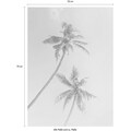 Komar Poster »Miami Palms«, Pflanzen-Blätter, Höhe: 70cm