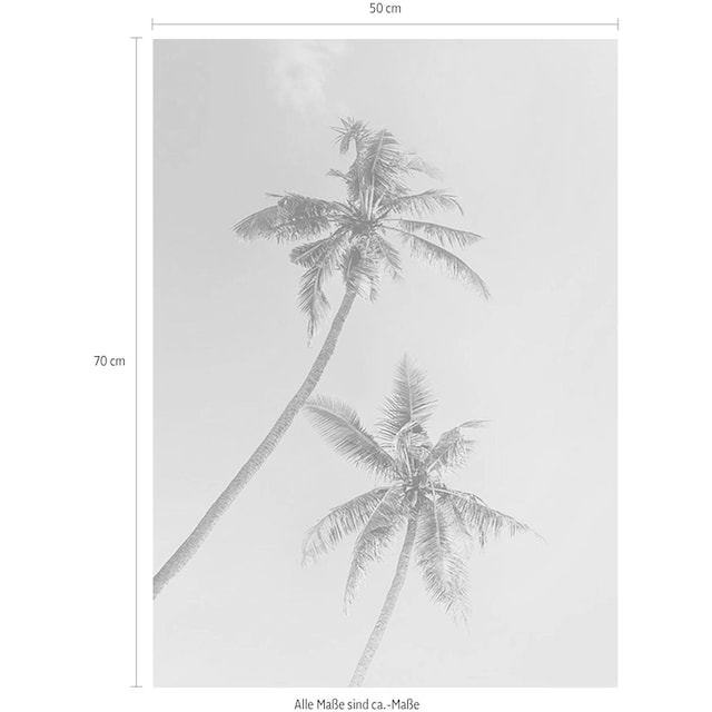 Komar Poster »Miami Palms«, Pflanzen-Blätter, (1 St.), Kinderzimmer,  Schlafzimmer, Wohnzimmer bei OTTO