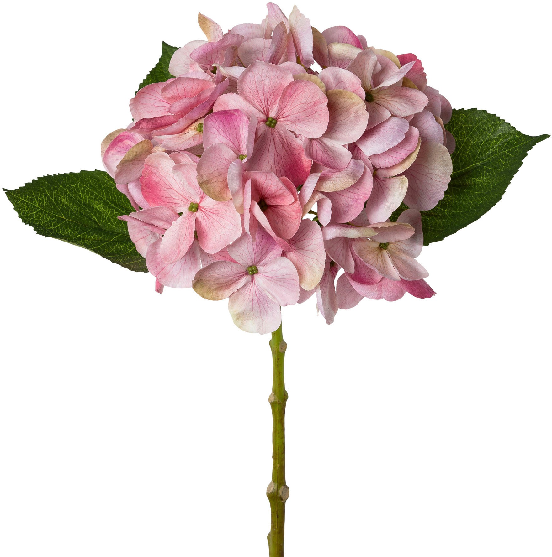 Creativ green Kunstblume »Hortensie«