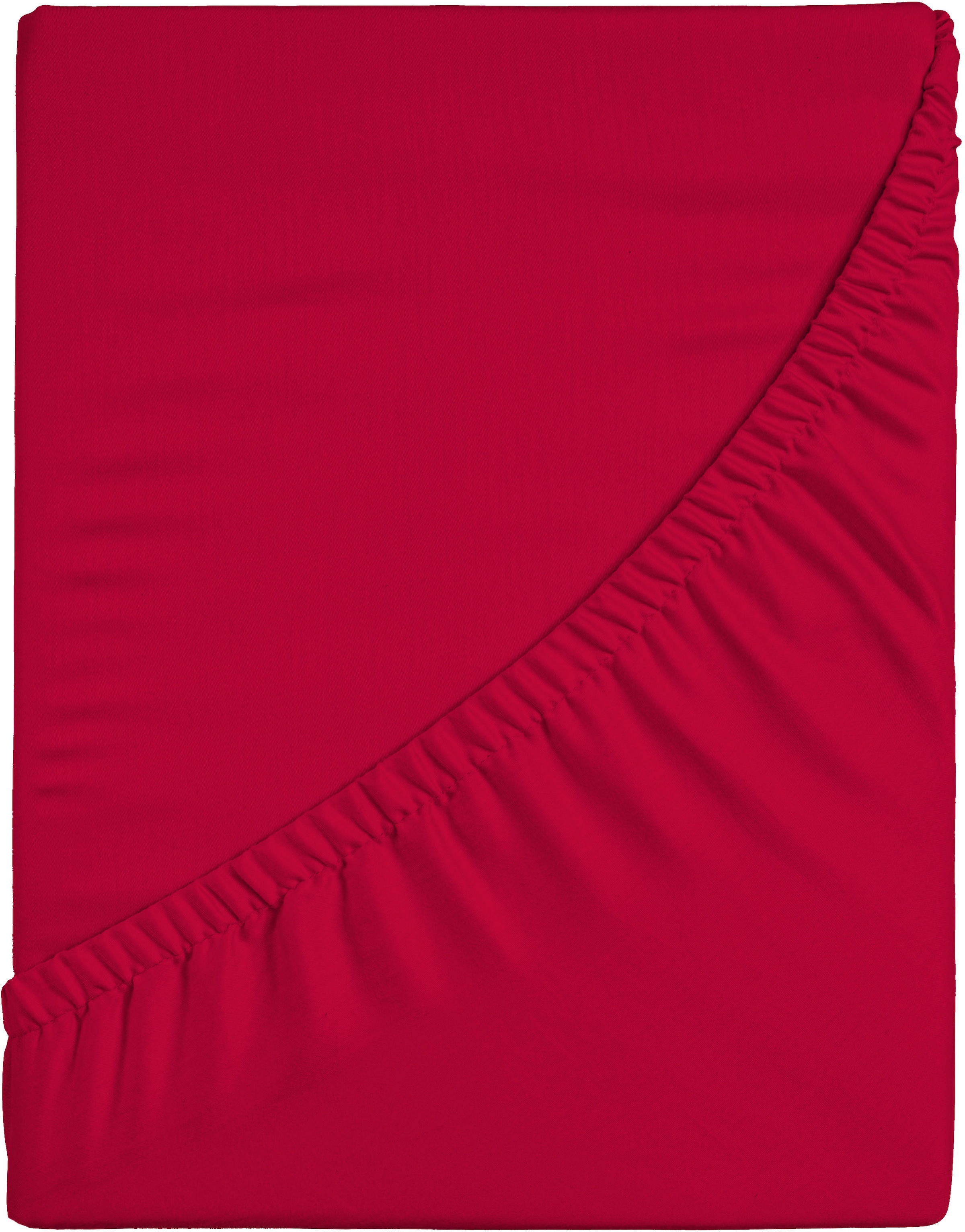 CASATEX Spannbettlaken »Jersey-Elasthan« mit Elasthan