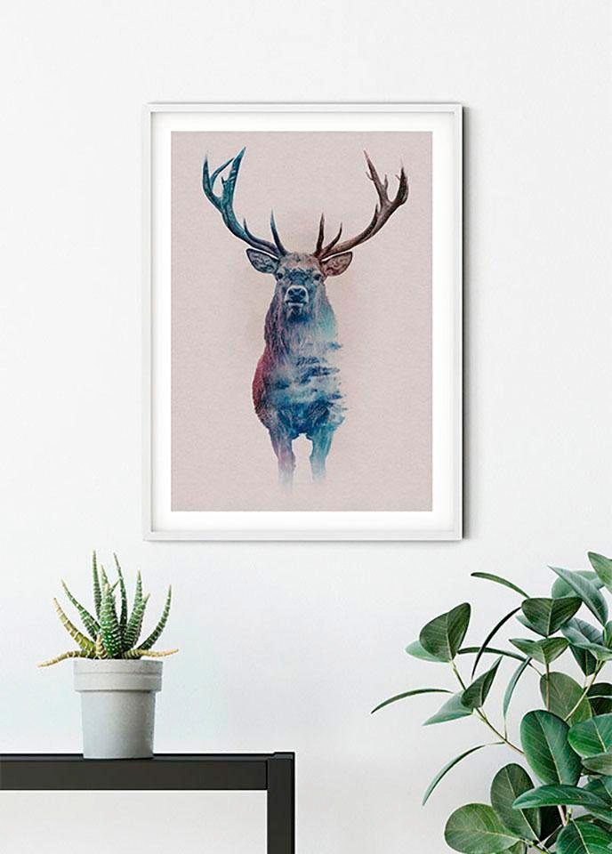 Komar Bild »Animals Forest Deer«, Tiere, (1 St.), Wandbild zur Dekoration - ohne Rahmen