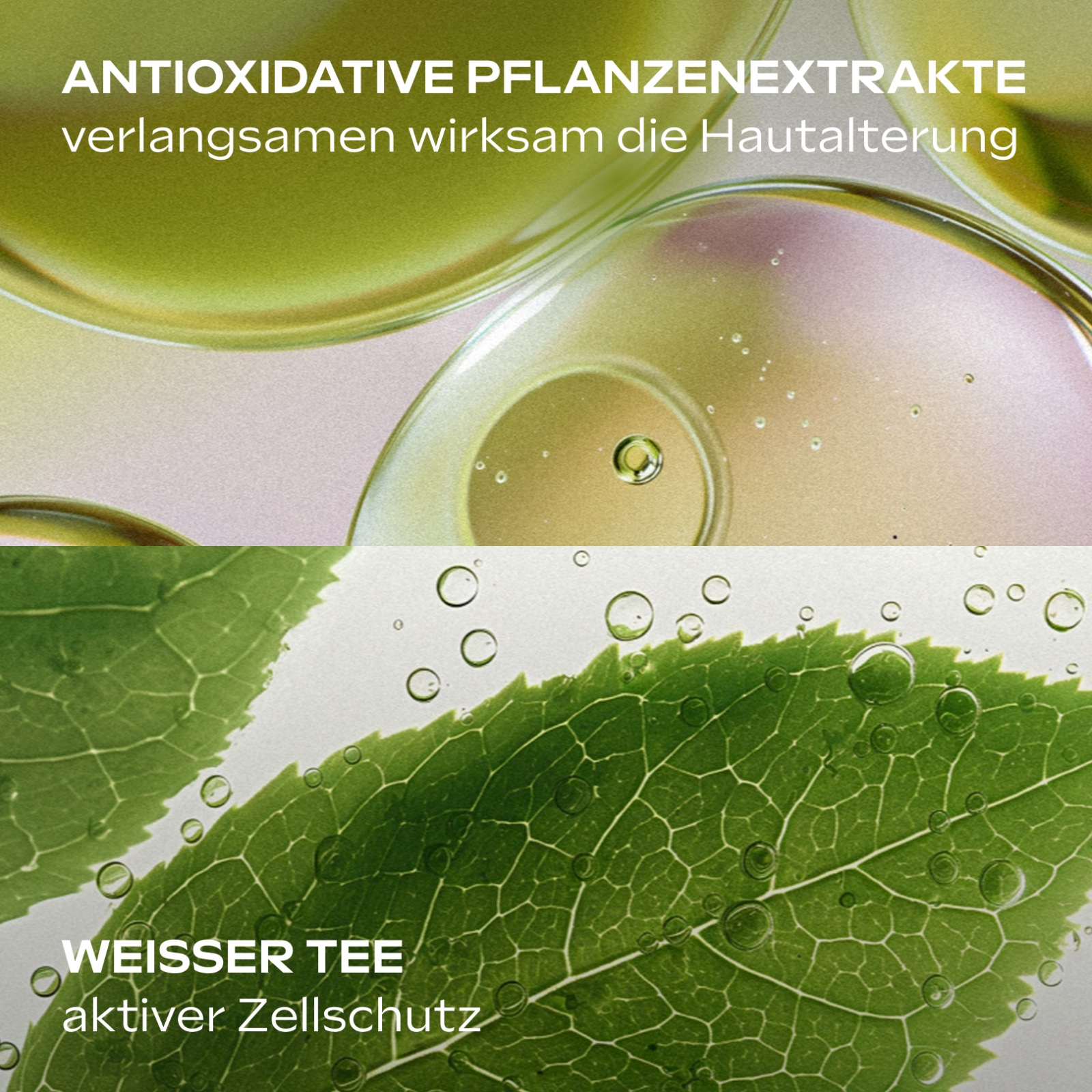 WELEDA Gesichtsserum »Slow Aging Astaxanthin Serum« antioxidative Power gegen erste Fältchen – für sichtbar glattere Haut