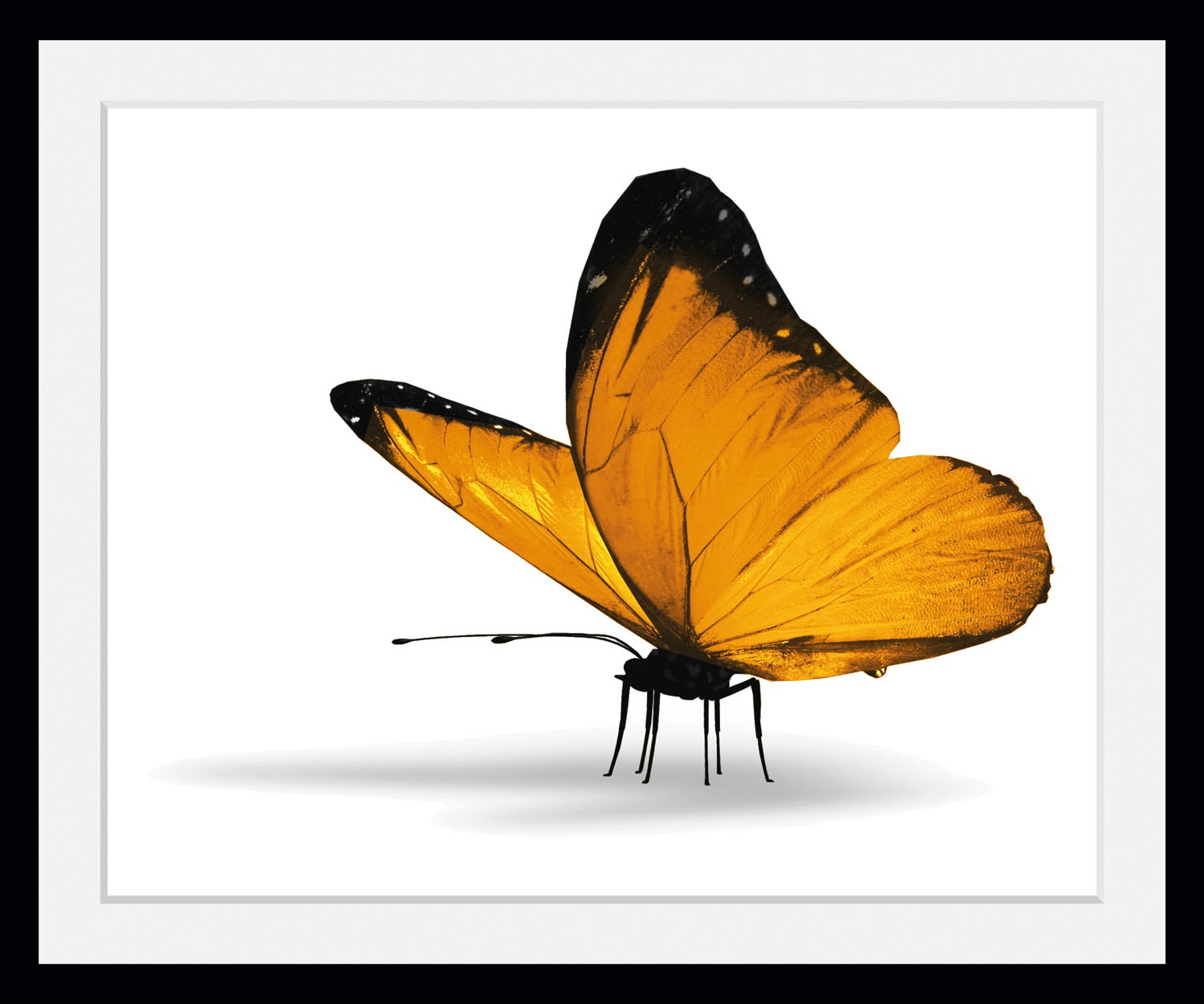 queence Bild »Maria 1.0«, Schmetterlinge, (1 St.)