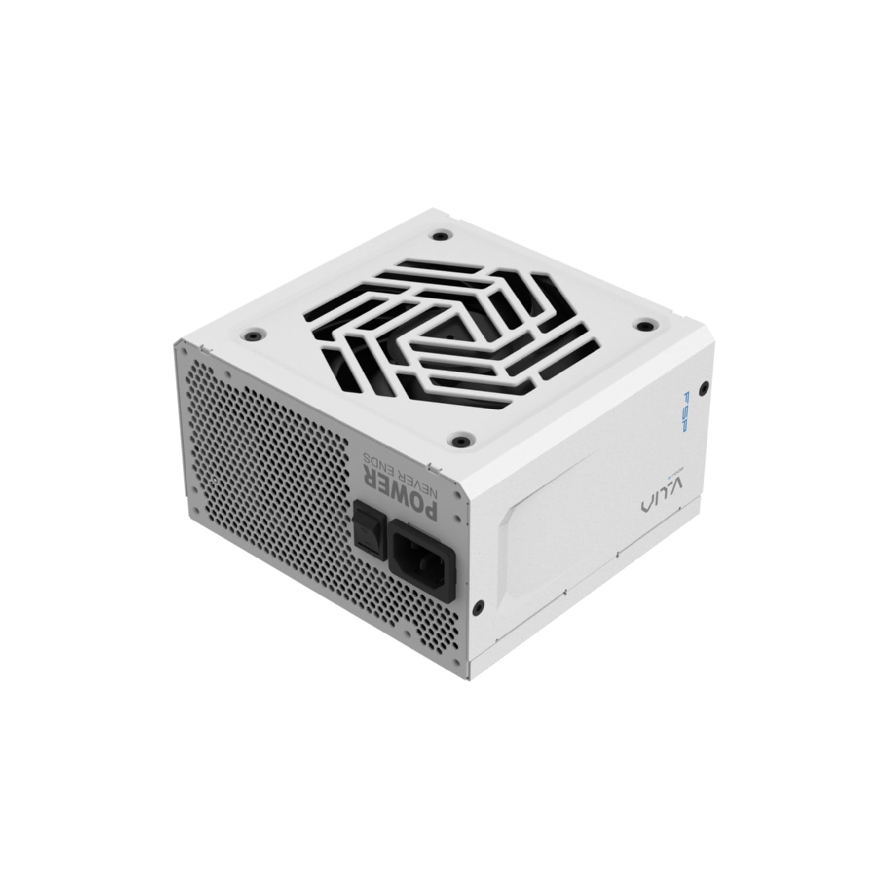 Fortron Netzteil »VITA GM 850W«