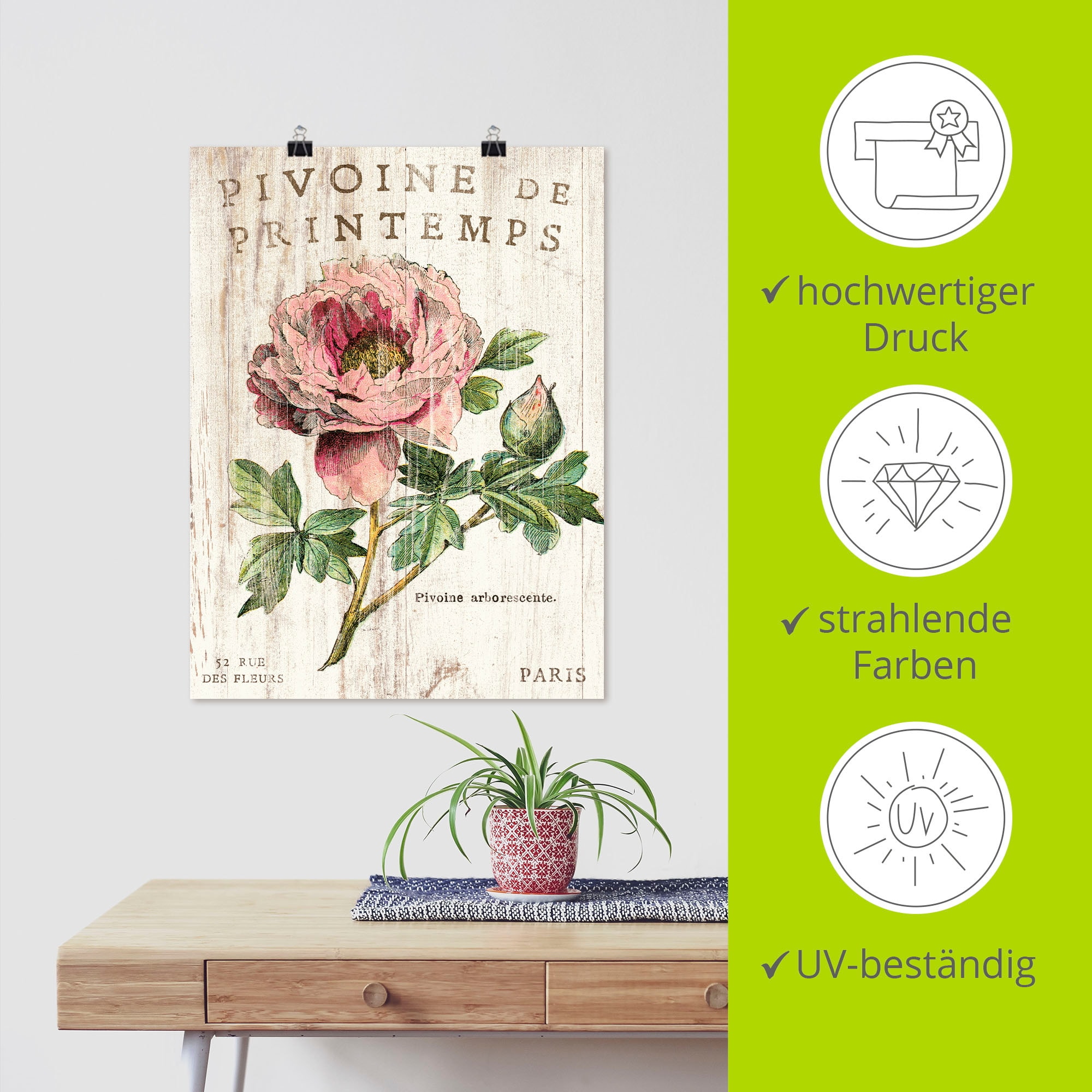 Artland Wandbild »Pfingstrose«, Blumen, (1 St.), als Leinwandbild, Poster, Wandaufkleber in verschied. Größen