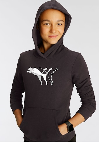 PUMA Kapuzensweatshirt »Puma Power Graphic Hoodie TR G« kaufen