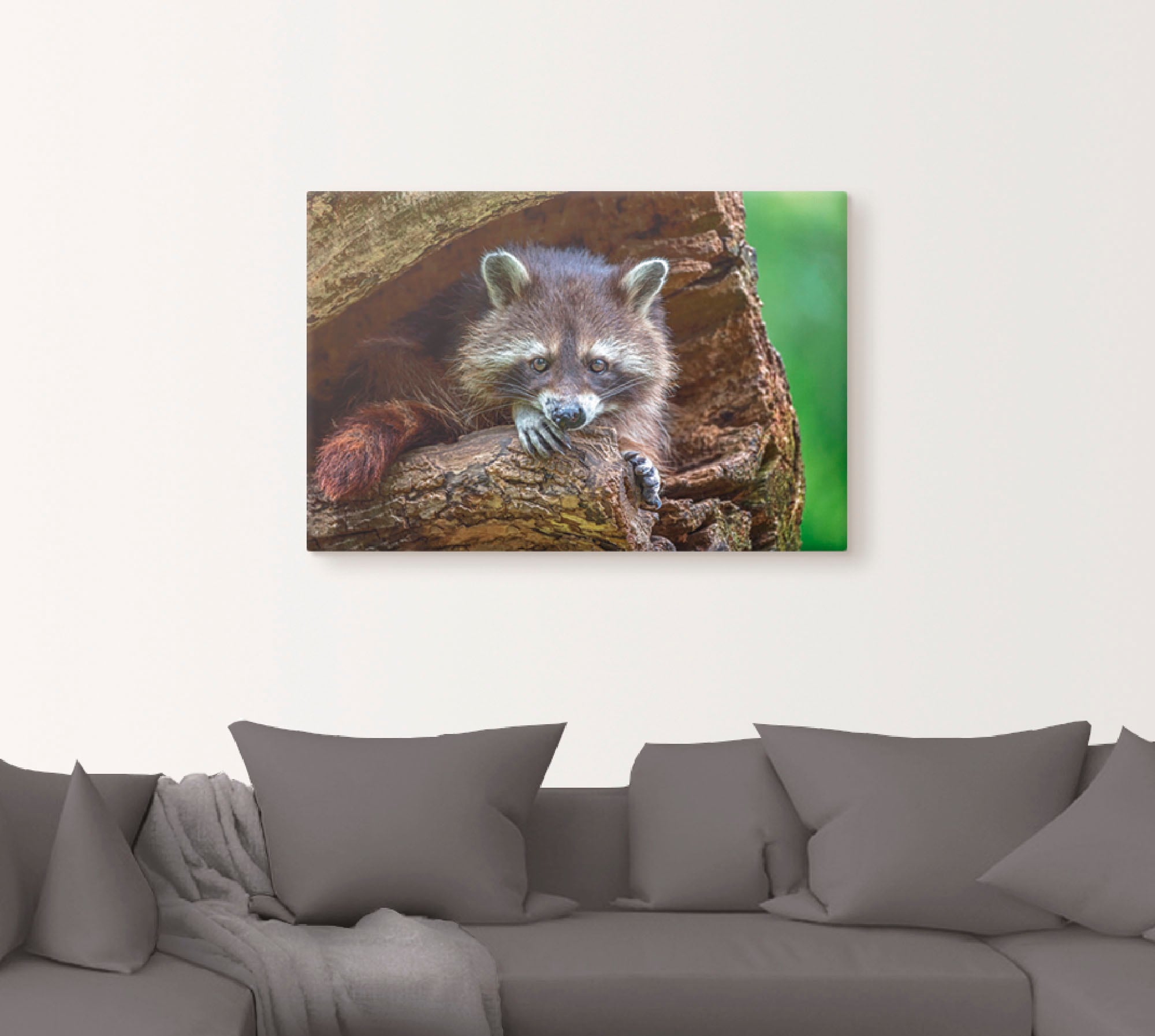 Artland Leinwandbild »Waschbär«, Wildtiere, (1 St.), auf Keilrahmen gespannt