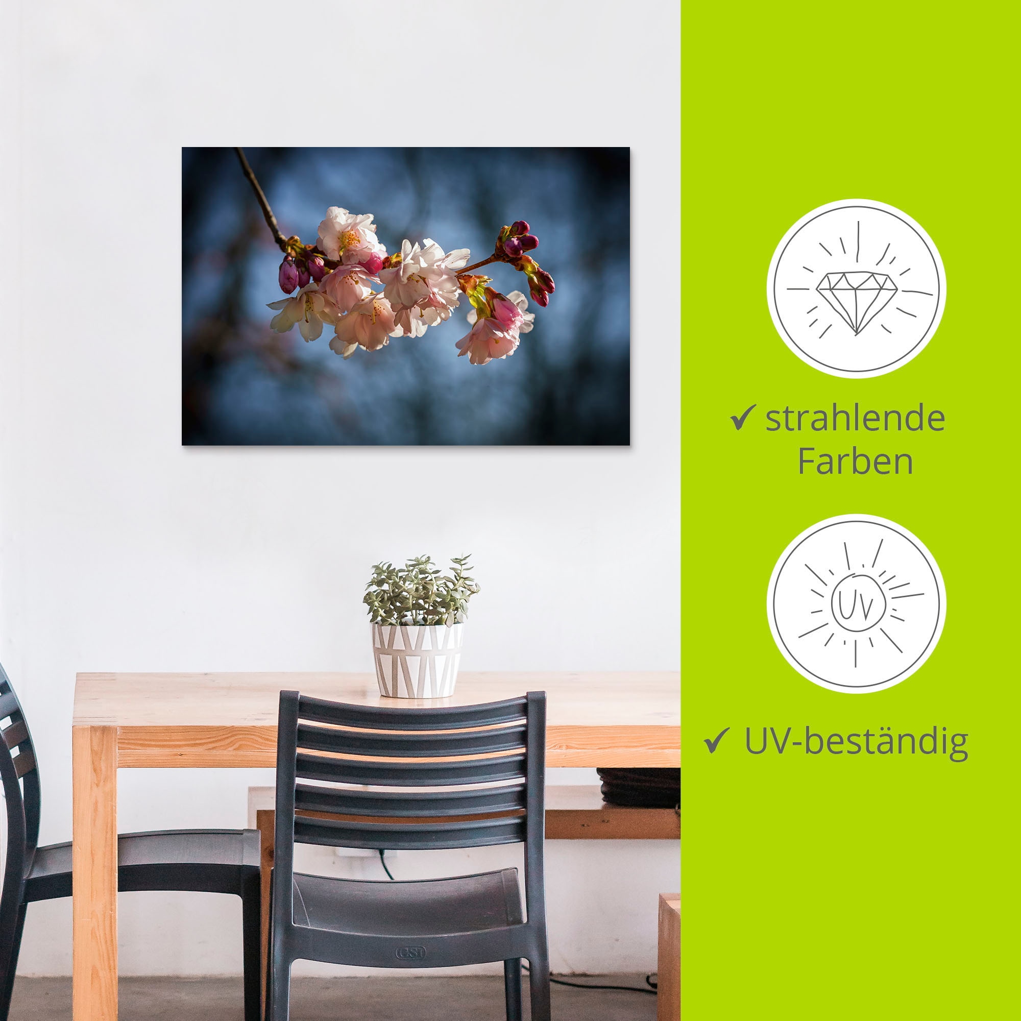 Artland Alu-Dibond-Druck »Kirschblüte im Frühling«, Blumenbilder, (1 St.), für Innen- und Außenbereich geeignet, Outdoorbild