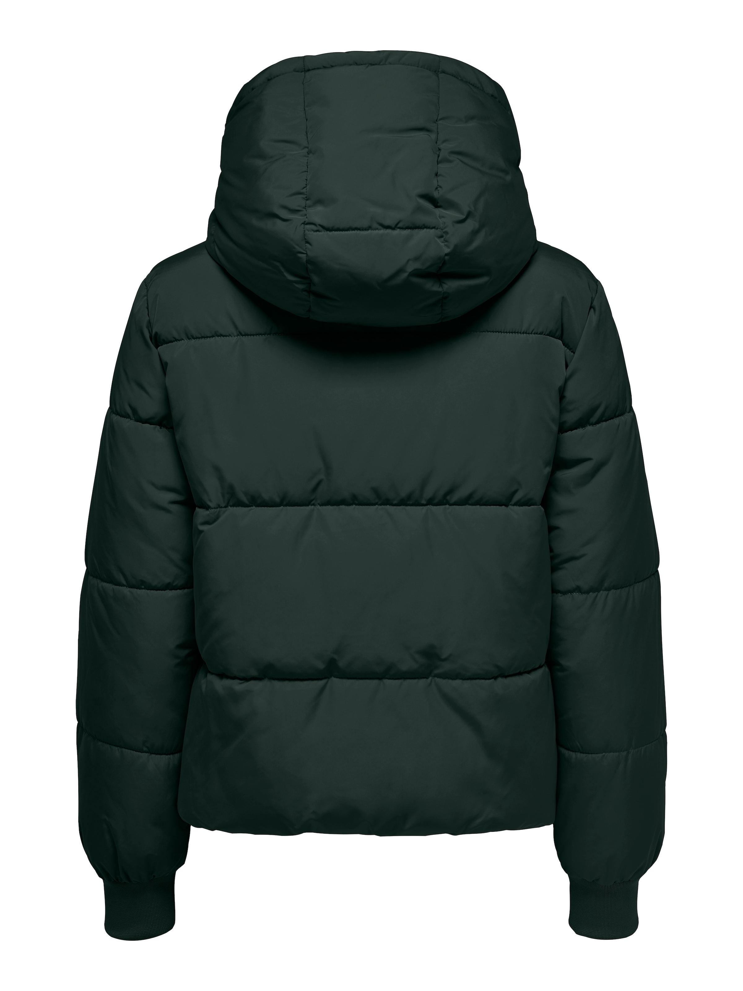 JDY Steppjacke »JDYNEWERICA LIFE SHORT HOOD JKT OTW NOOS«, mit Kapuze