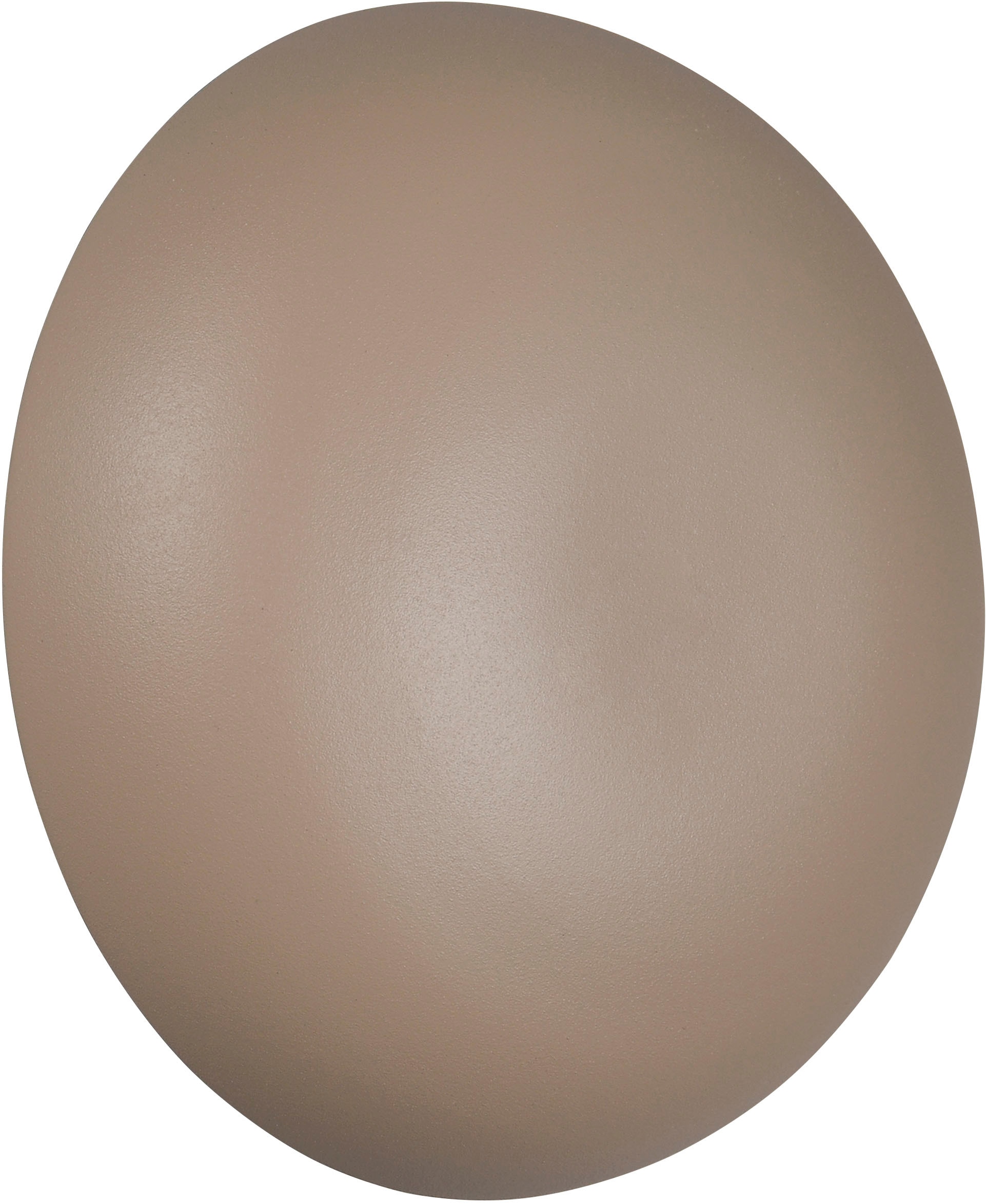 REALITY Leuchten LED Wandleuchte »DAVEY, runde Akku Wandlampe mit Touchdimmer, USB-Anschluss Ø 15,5 cm« LED-Board 1 Stk. Warmweiß Indoor Akku Wandlampe, einfache Wandbefestigung, Tiefe 8,5 cm