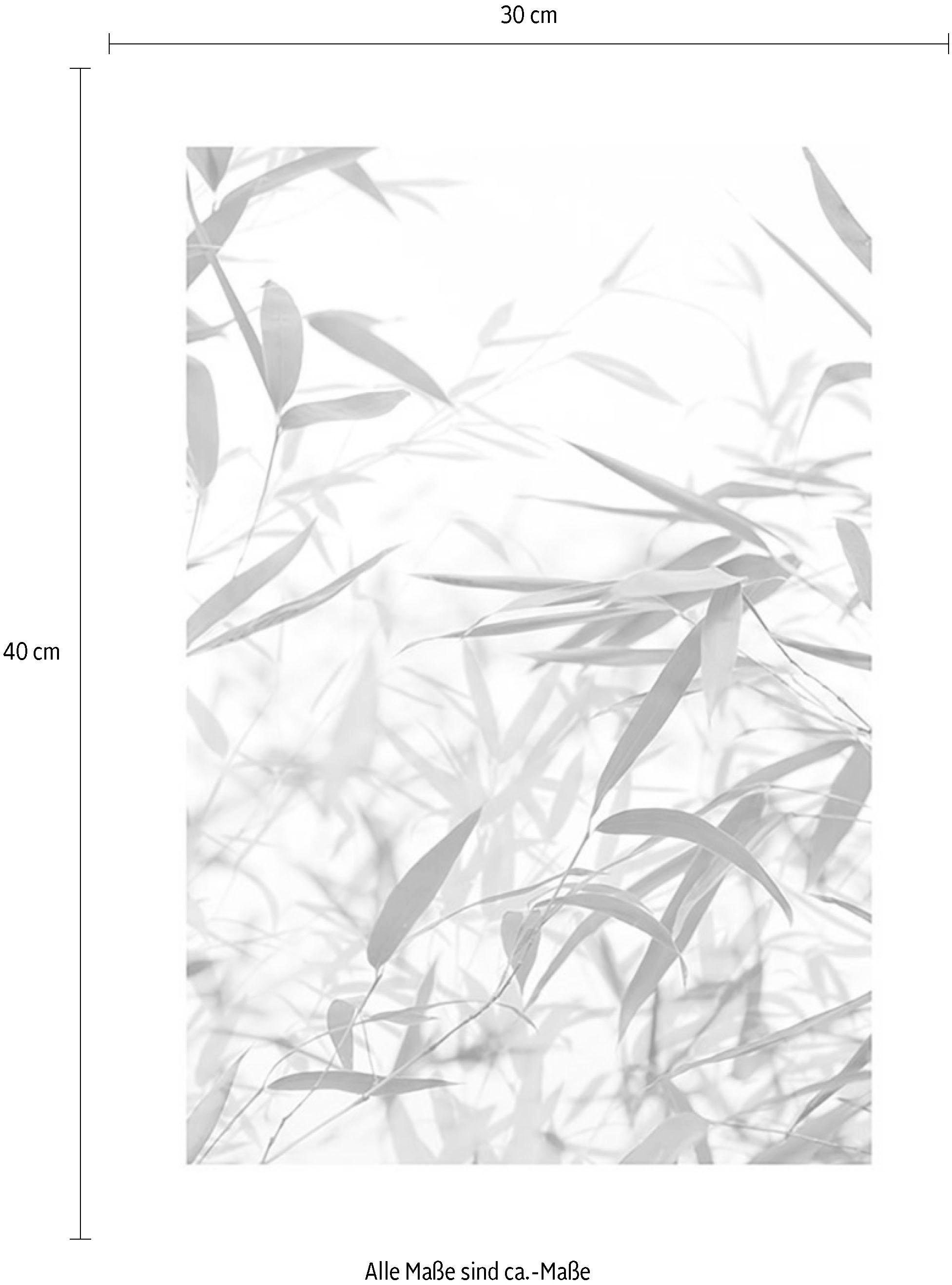 Komar Bild »Bamboo Leaves« Blätter | Pflanzen 1 Stk. tlg. Wandbild zur Dekoration - ohne Rahmen