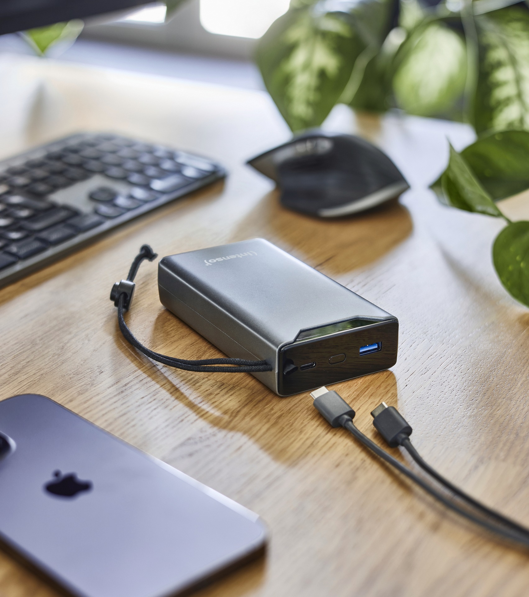 Intenso Powerbank »F20000 20.000 mAh 20 W«, Intenso Power Bank F20000 green, Power Delivery und Qualcomm Quick Charge 3.0, mit USB-C zu USB-C Kabel